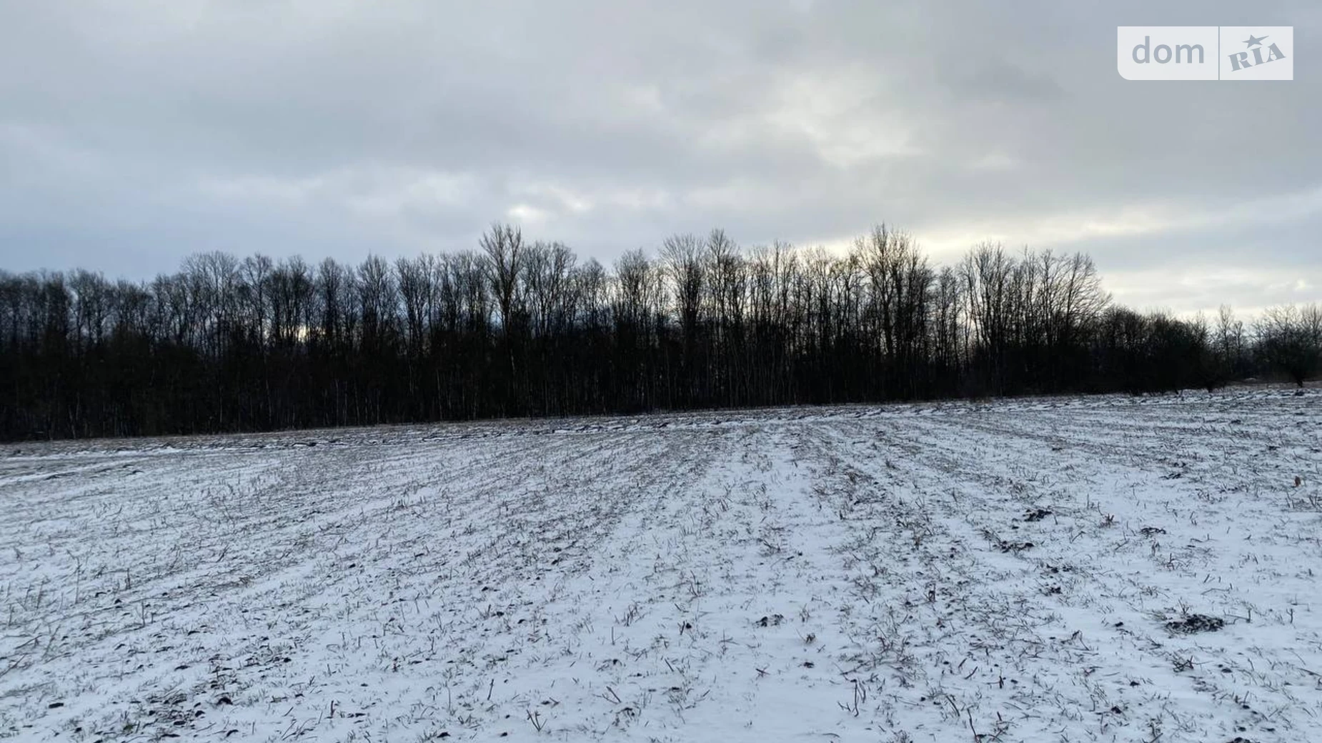 Продається земельна ділянка 54 соток у Тернопільській області, цена: 8000 $ - фото 4