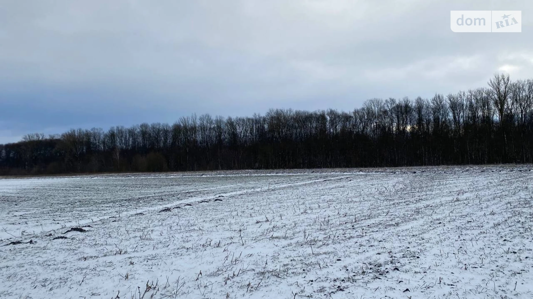 Продається земельна ділянка 54 соток у Тернопільській області, цена: 8000 $ - фото 5