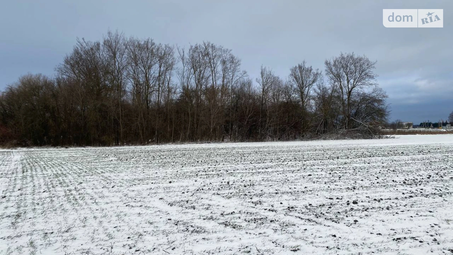 Продається земельна ділянка 54 соток у Тернопільській області, цена: 8000 $ - фото 2