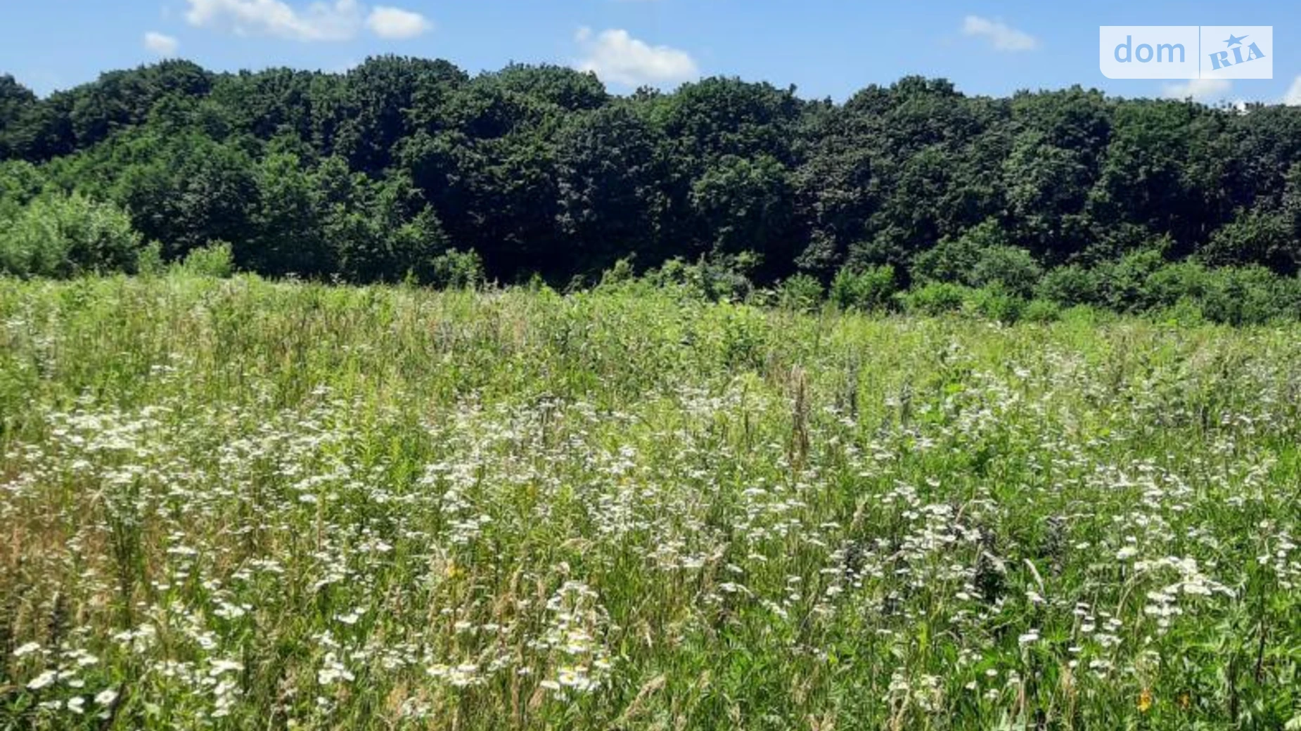 Продається земельна ділянка 60 соток у Львівській області, цена: 48000 $ - фото 2