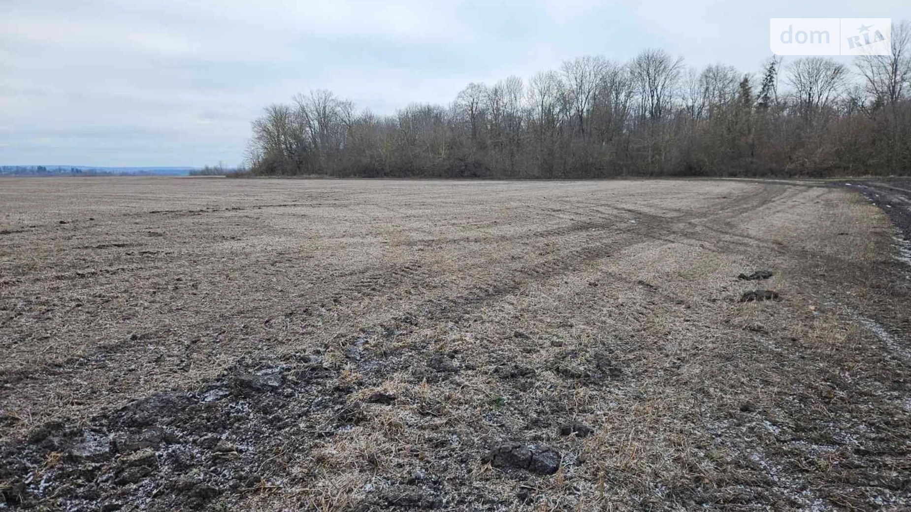 Здається в оренду земельна ділянка 15 соток у Хмельницькій області, цена: 94769 грн - фото 2