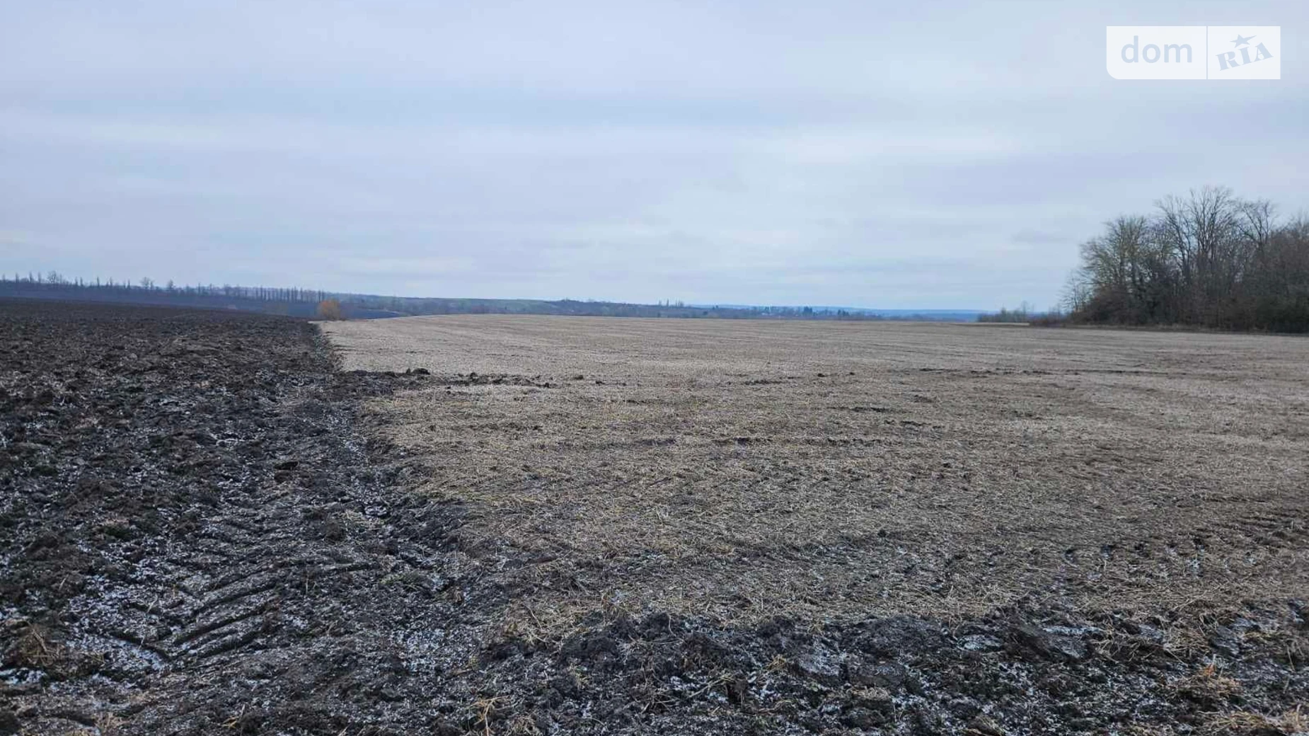 Здається в оренду земельна ділянка 15 соток у Хмельницькій області, цена: 94769 грн - фото 3