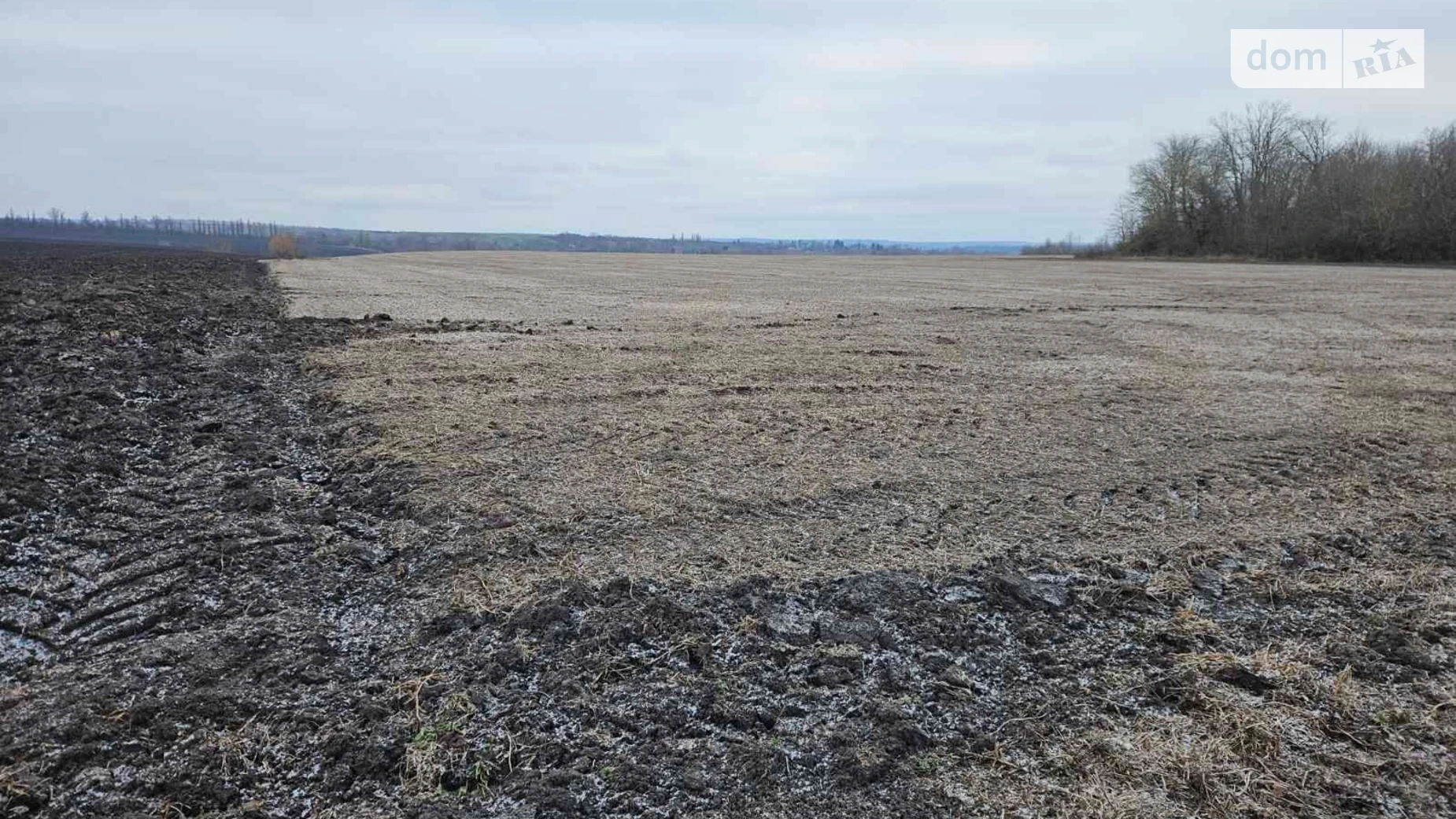 Здається в оренду земельна ділянка 15 соток у Хмельницькій області, цена: 94769 грн - фото 4