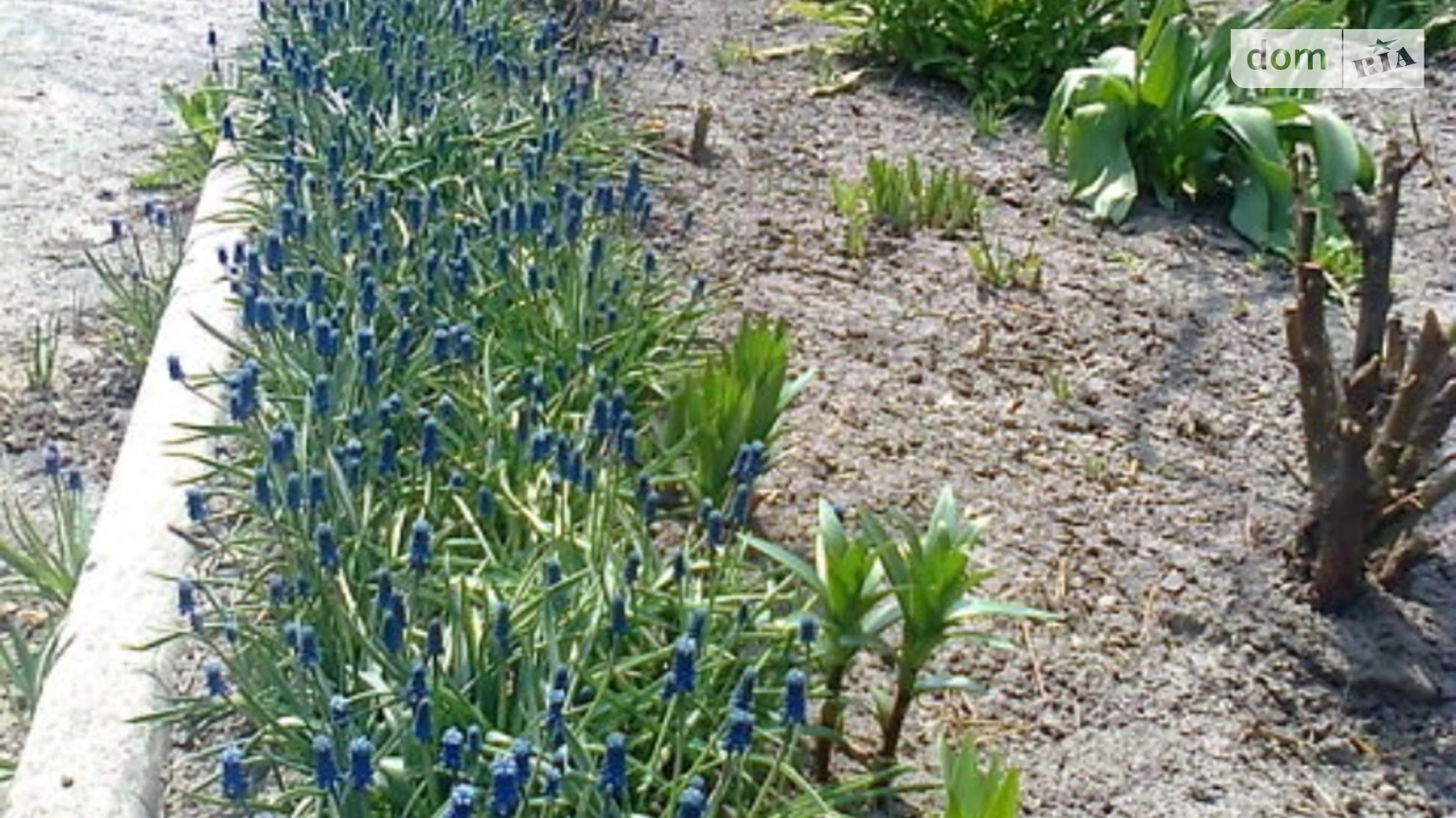 Продается одноэтажный дом 75 кв. м с гаражом, цена: 20000 $ - фото 3