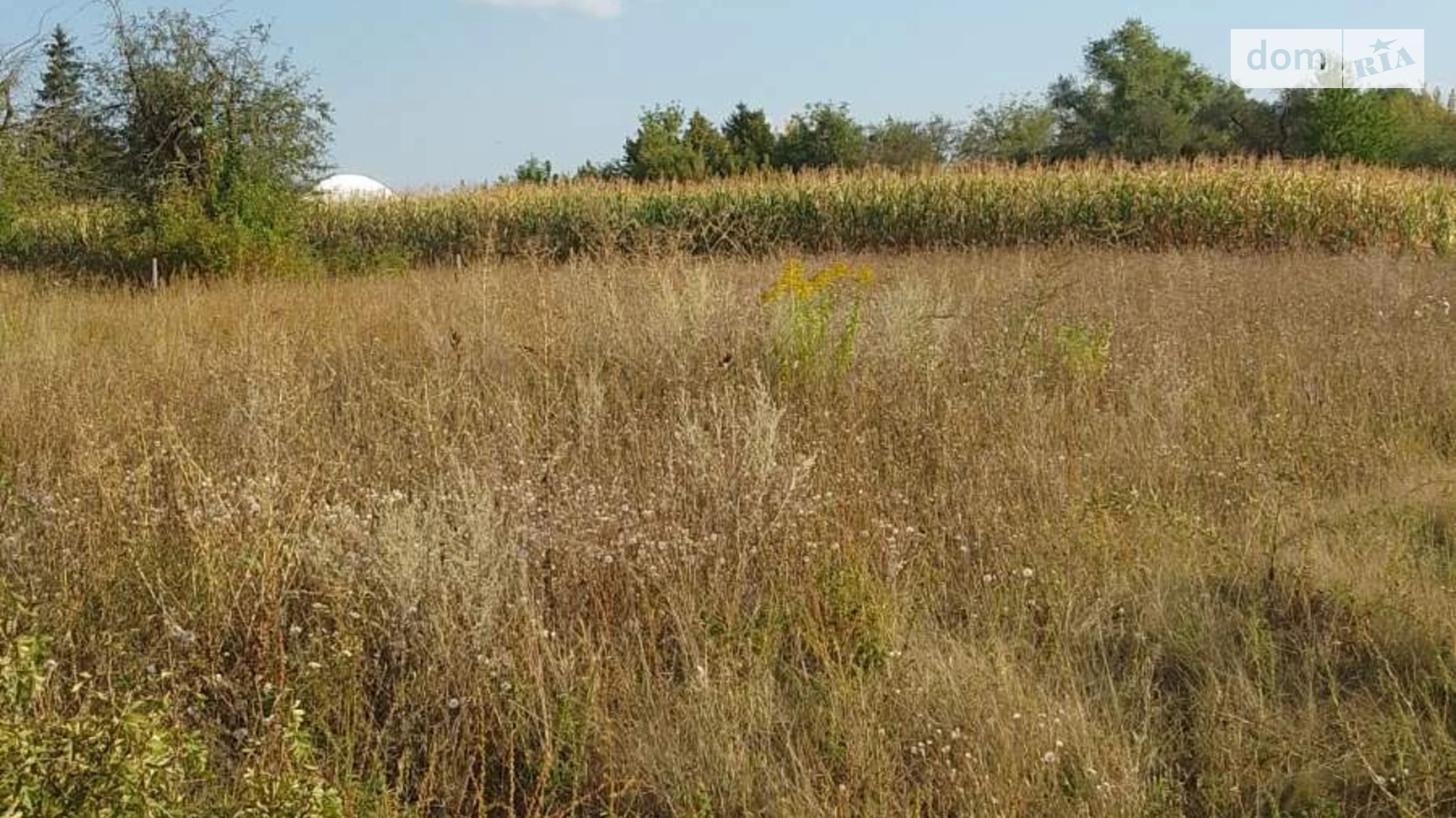 Великие Крушлинцы, цена: 6000 $ - фото 5