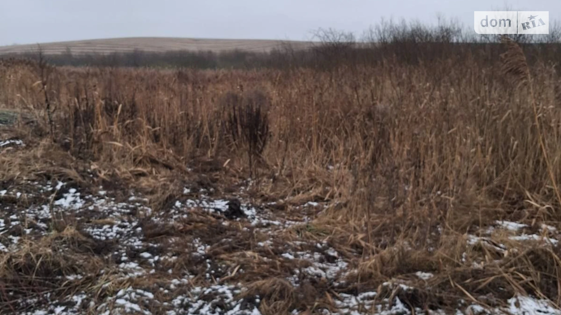 Бабин, цена: 2650 грн - фото 2