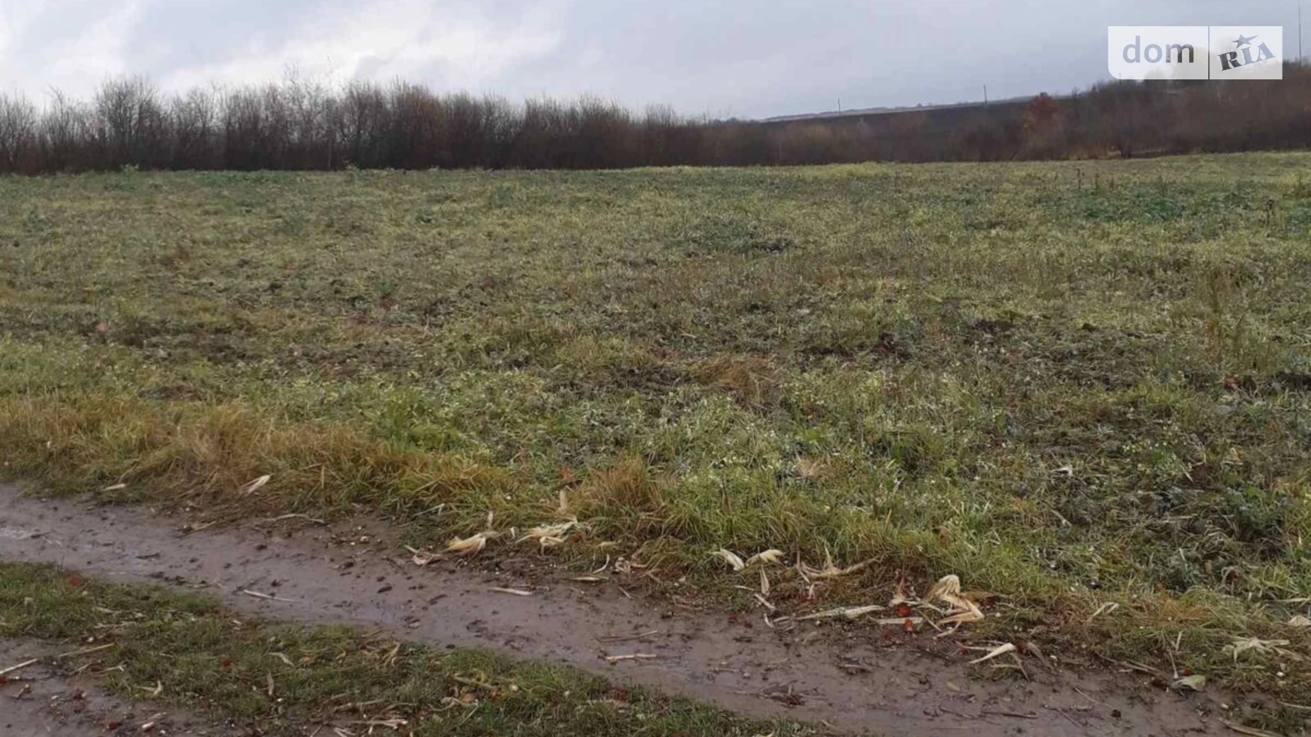 Тулиголовое, цена: 20032 грн - фото 2