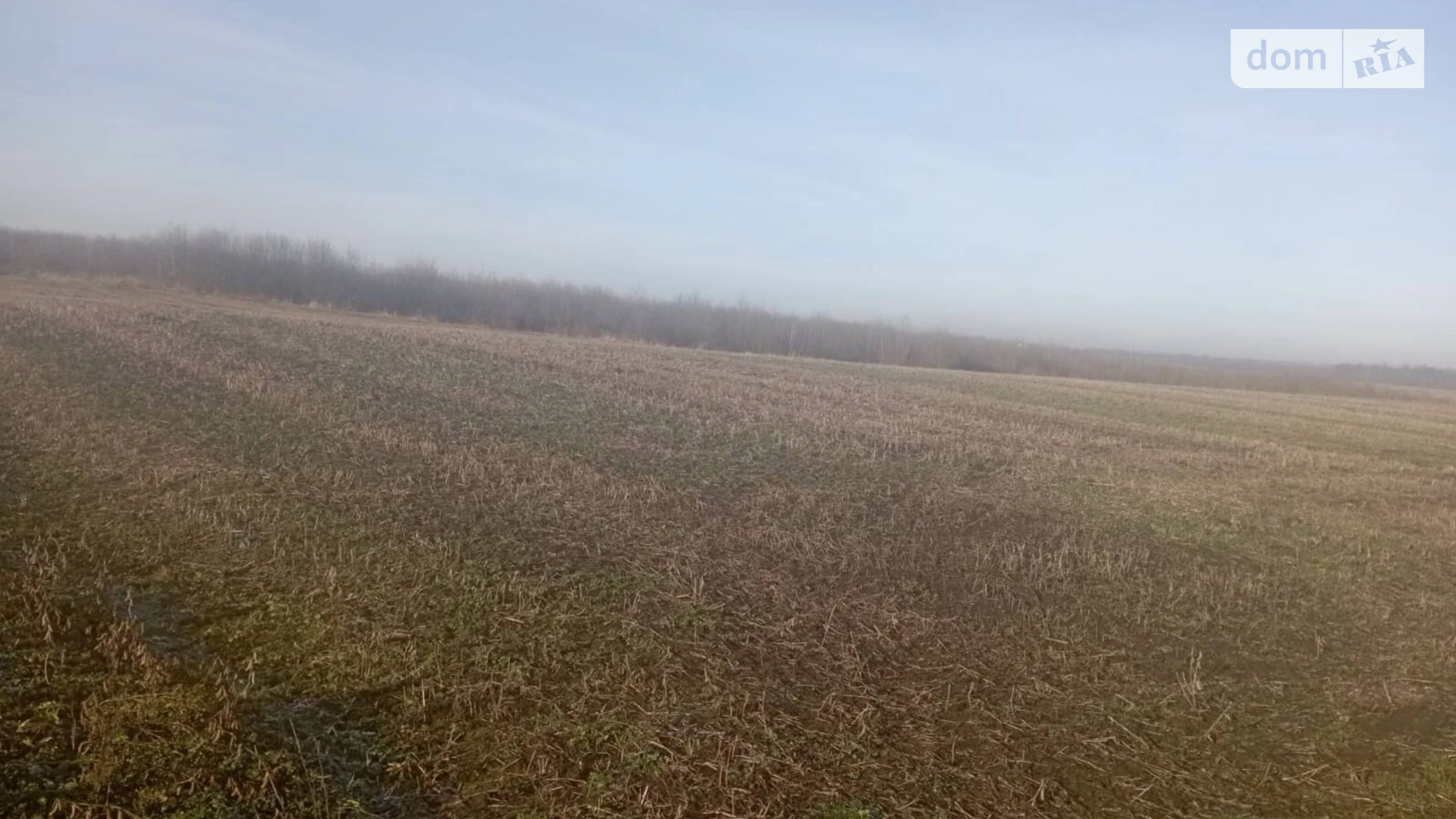 Переможное, цена: 21895 грн - фото 2