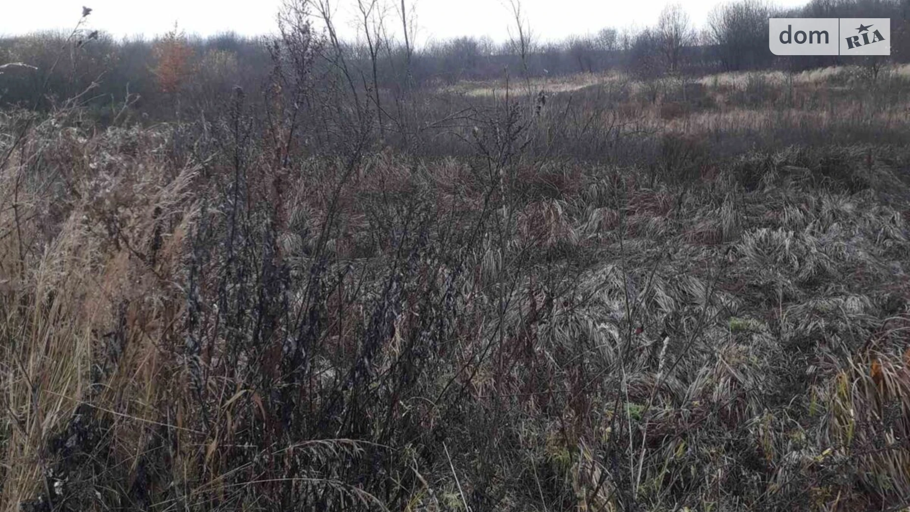 Тулиголовое, цена: 20032 грн - фото 3