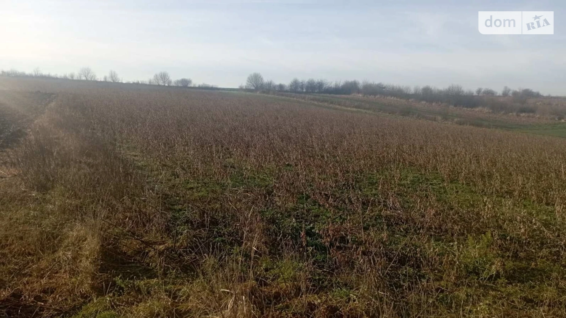 Переможное, цена: 73827 грн - фото 2