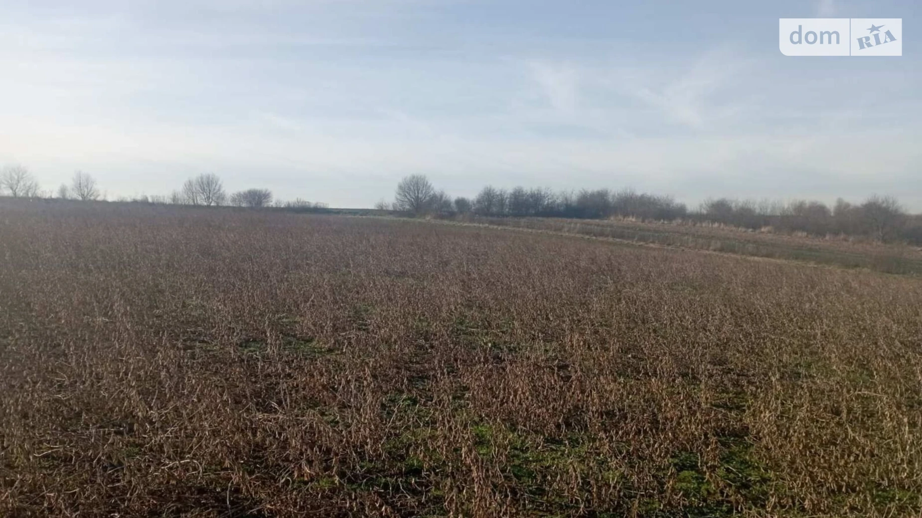 Переможное, цена: 73827 грн - фото 3