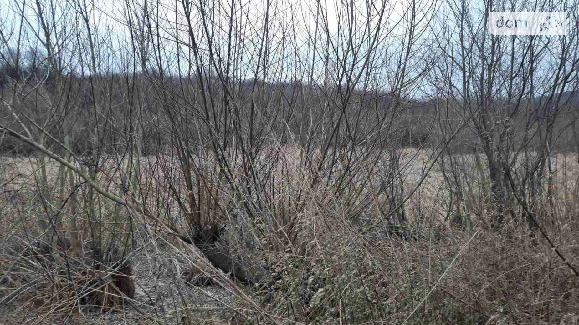 Сдается в аренду земельный участок 2.3444 соток в Львовской области, цена: 7971 грн - фото 3