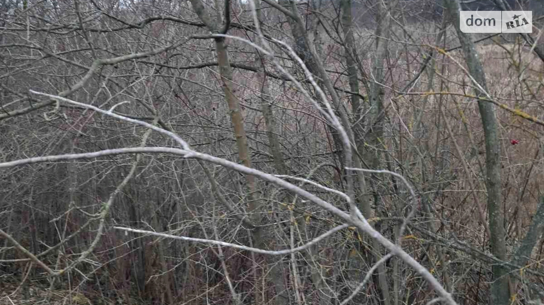 Сдается в аренду земельный участок 2.3444 соток в Львовской области, цена: 7971 грн - фото 4