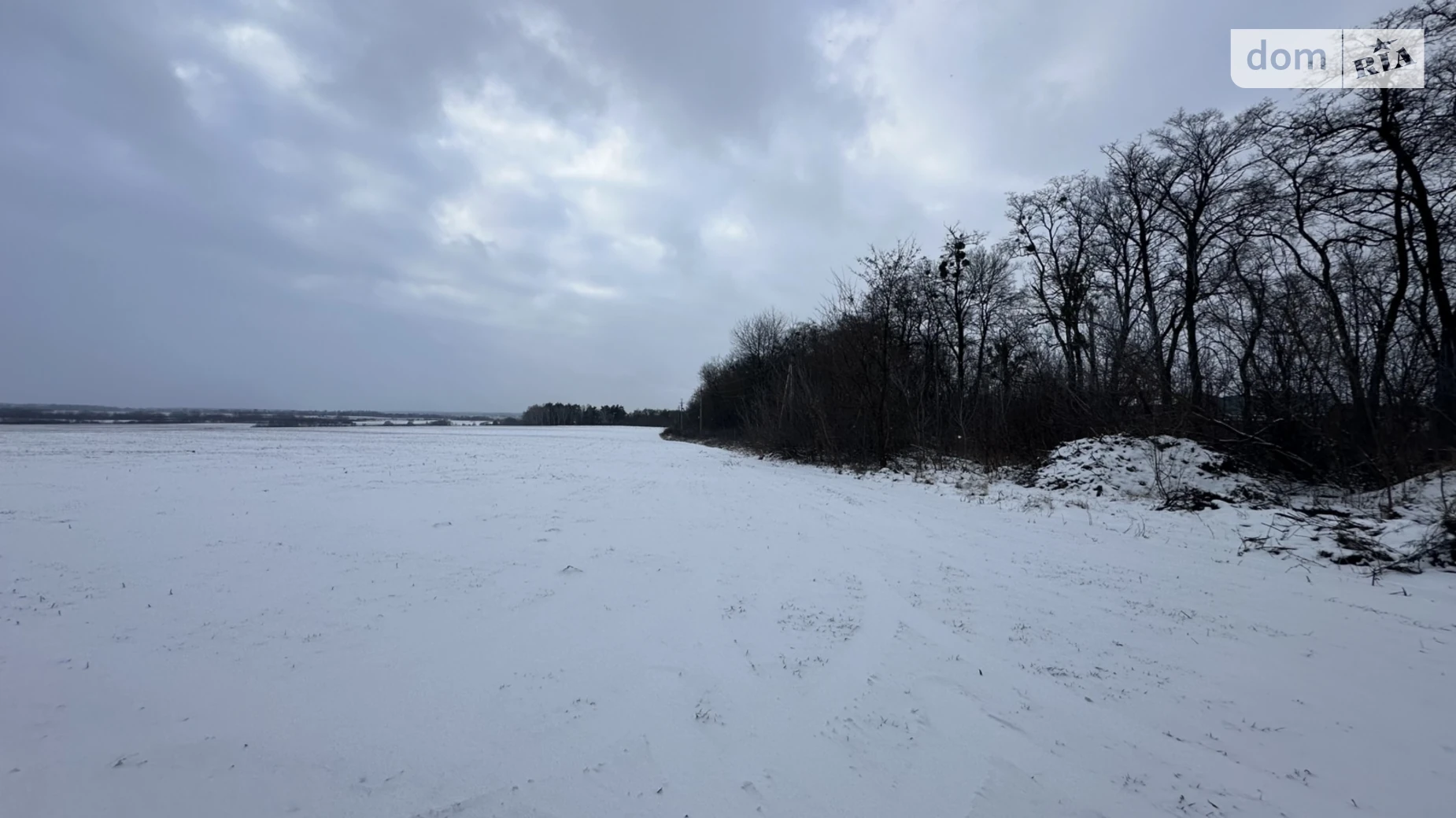 Ксаверовка, цена: 50000 $ - фото 2