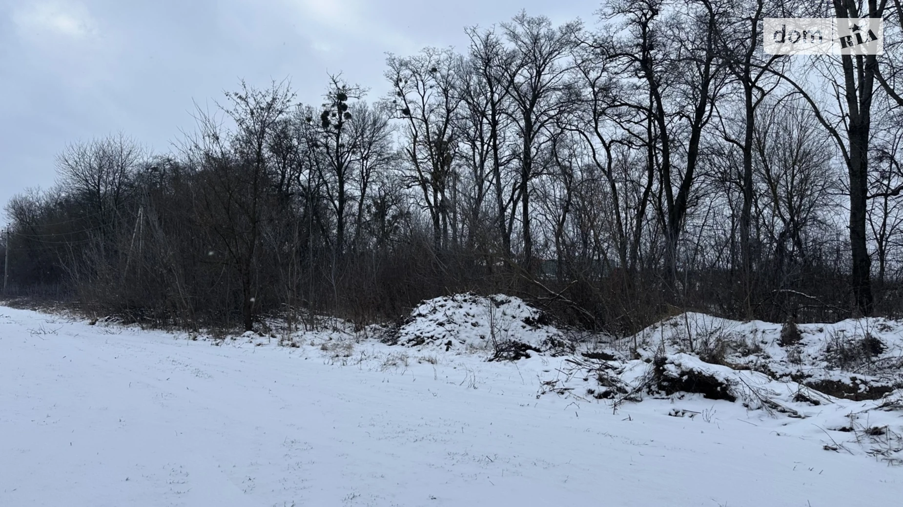 Ксаверовка, цена: 50000 $ - фото 3