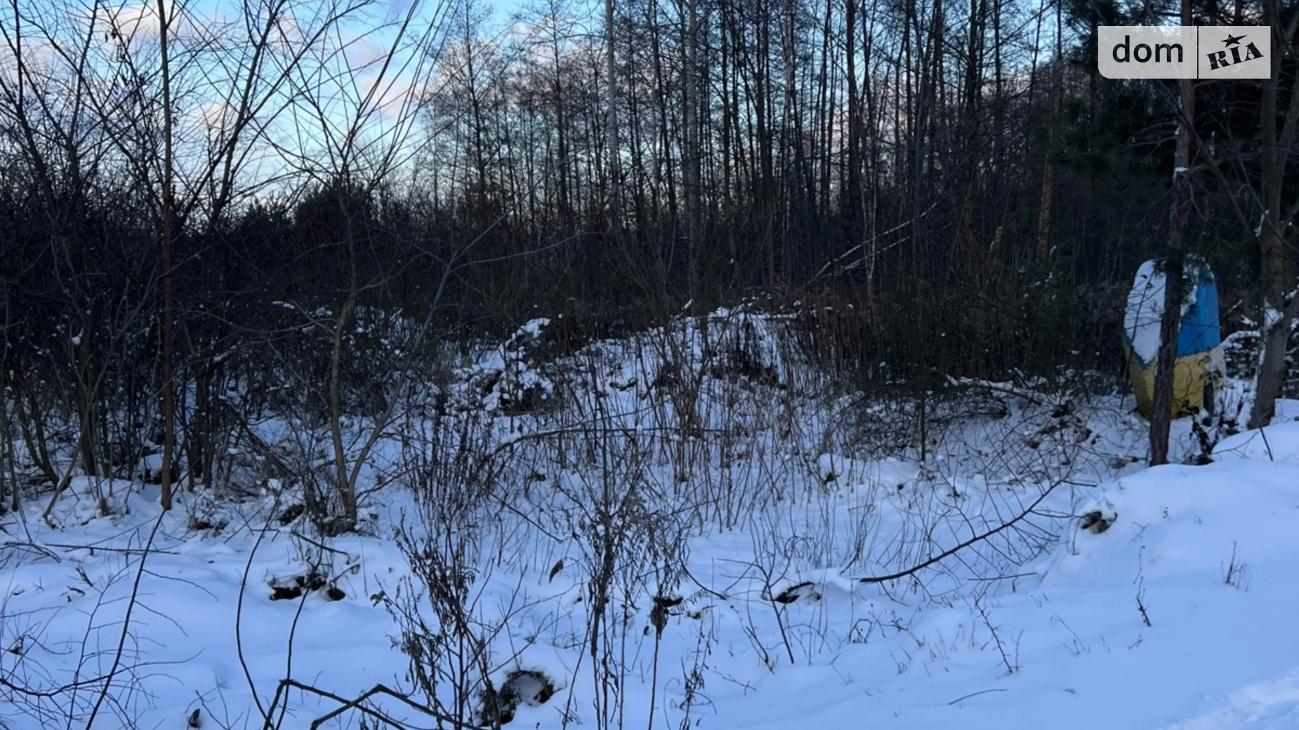 Продається земельна ділянка 25 соток у Житомирській області, цена: 20000 $ - фото 3