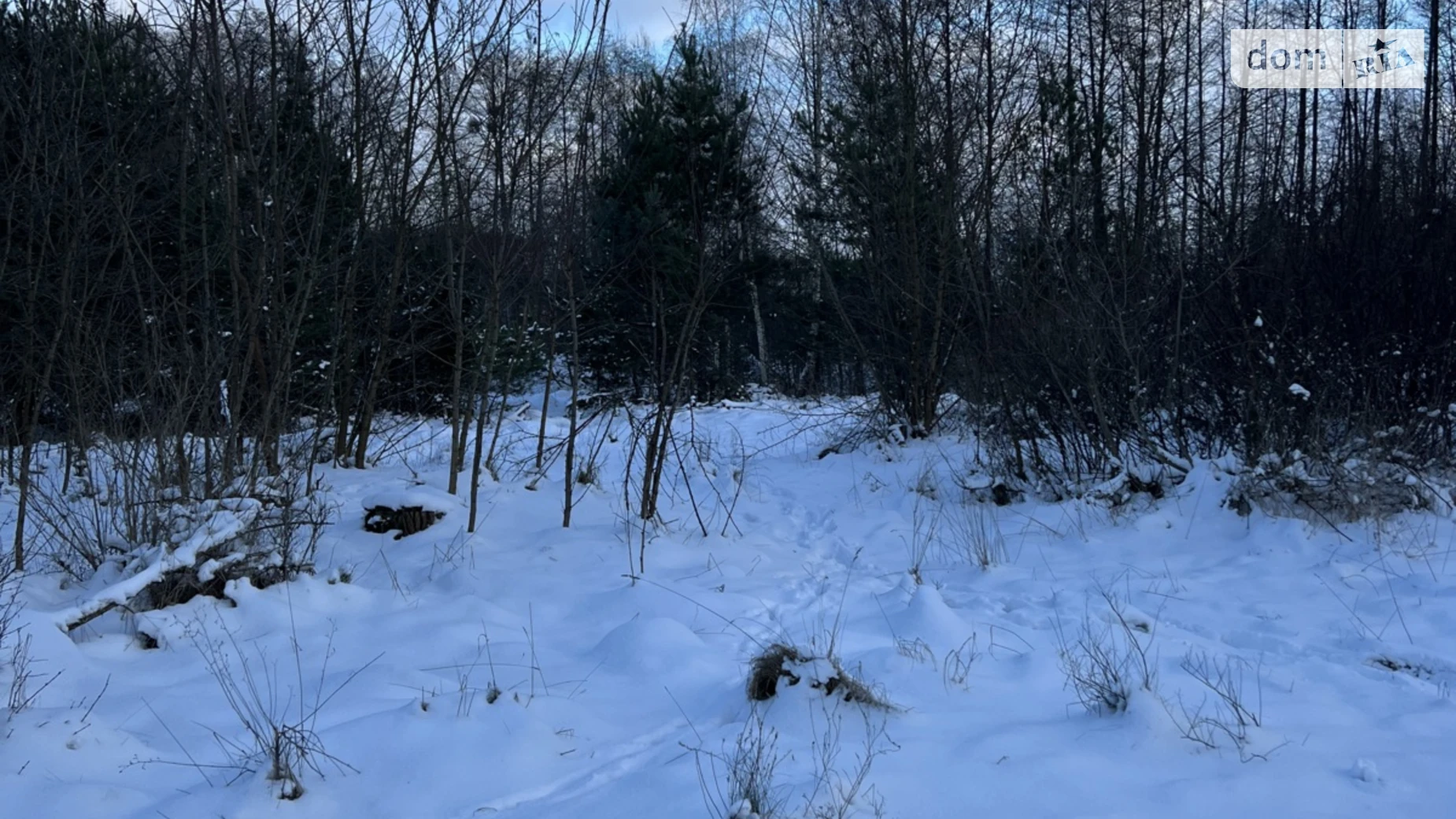 Продається земельна ділянка 25 соток у Житомирській області, цена: 20000 $ - фото 5