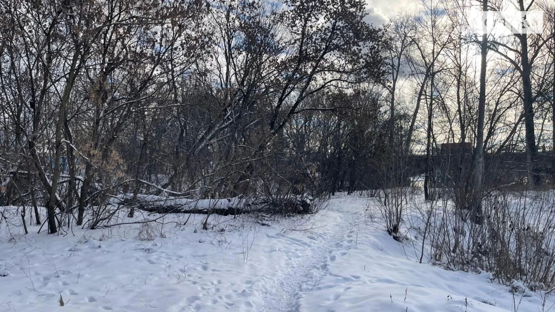 Сдается в аренду земельный участок 0.2607 соток в Полтавской области, цена: 56000 грн - фото 2