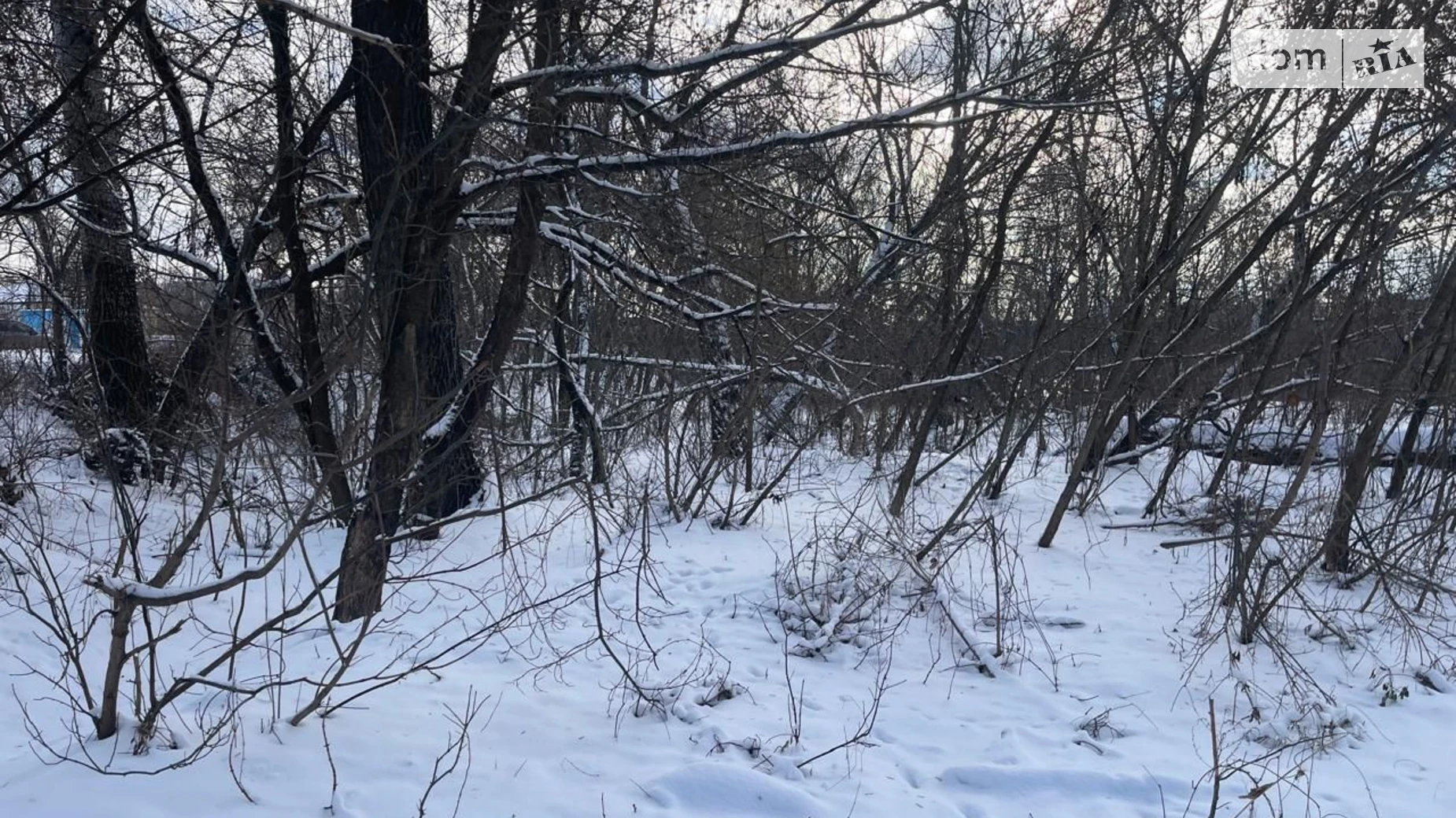 Сдается в аренду земельный участок 0.2607 соток в Полтавской области, цена: 56000 грн - фото 4