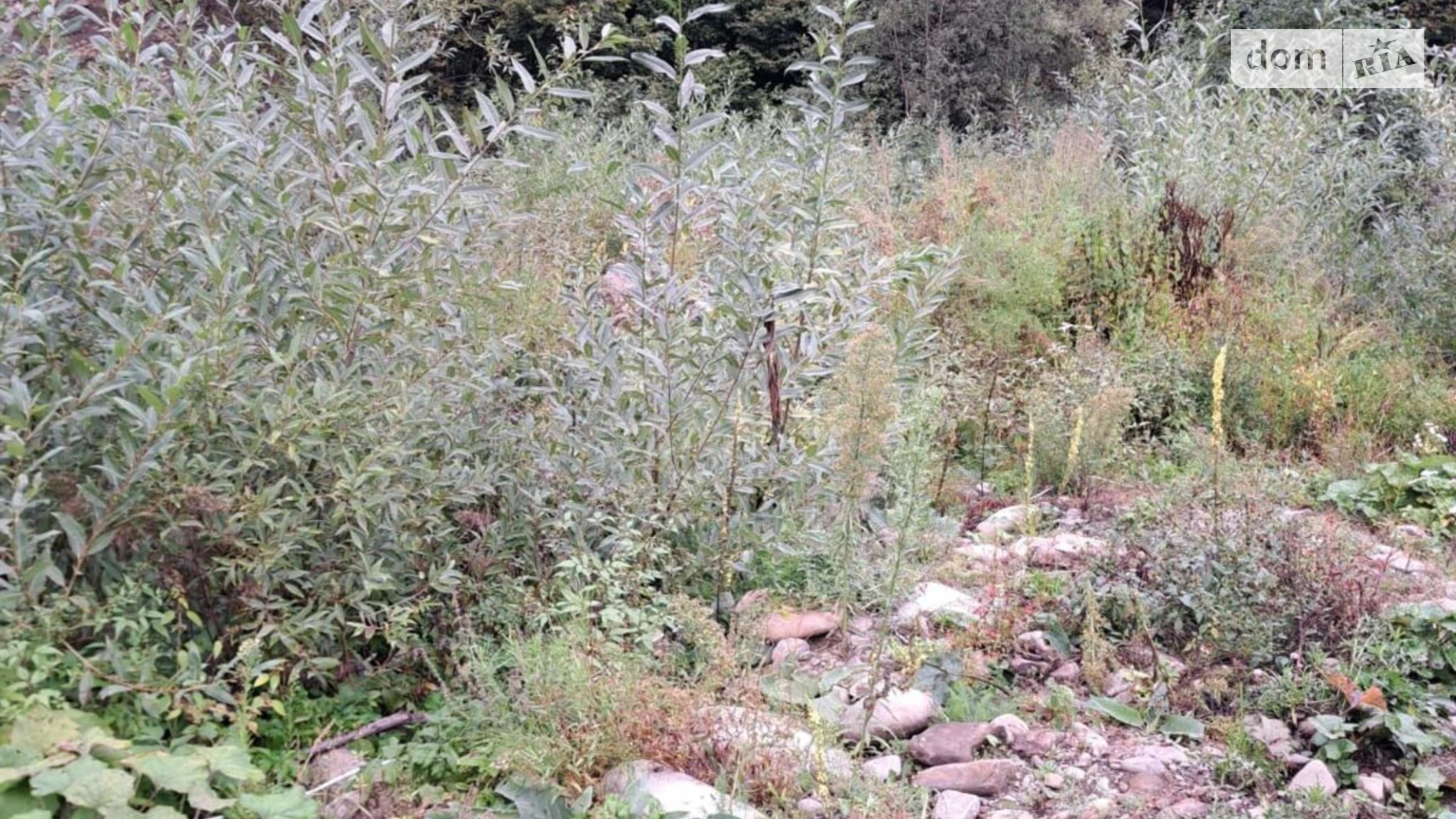 Сдается в аренду земельный участок 0.4231 соток в  области, цена: 35397 грн - фото 2