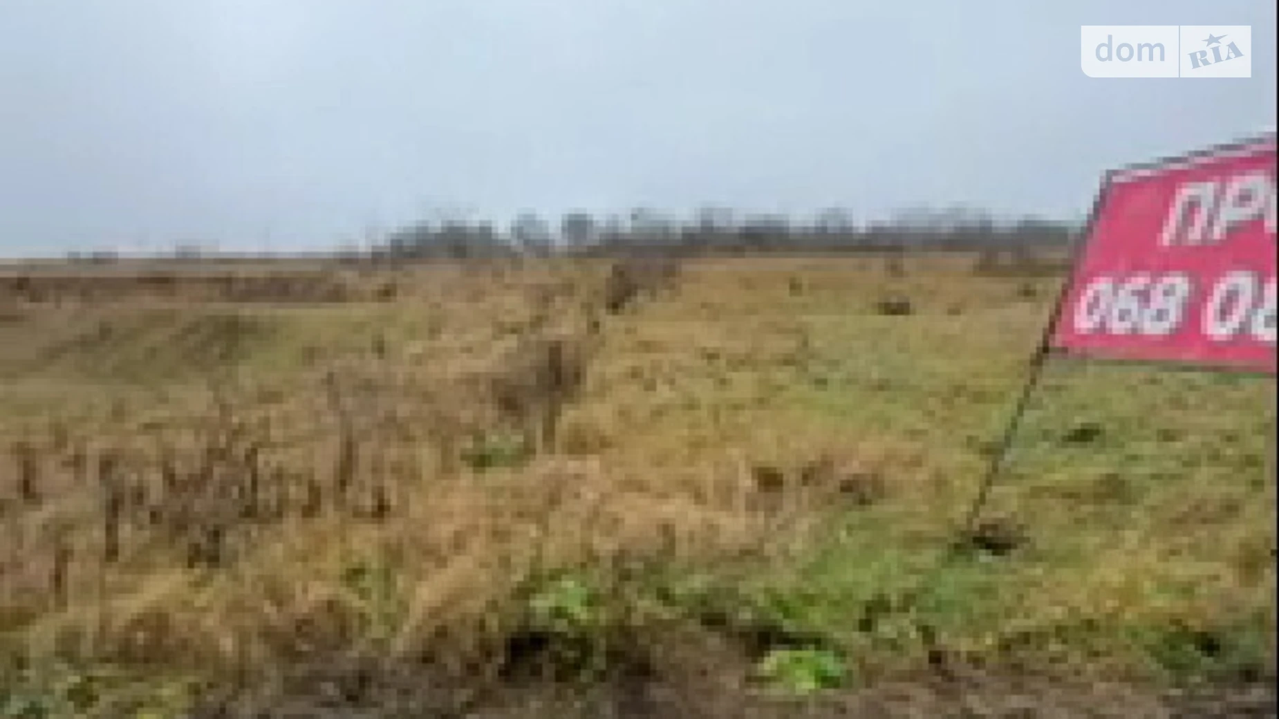 Продается земельный участок 10 соток в Хмельницкой области, цена: 28000 $ - фото 3