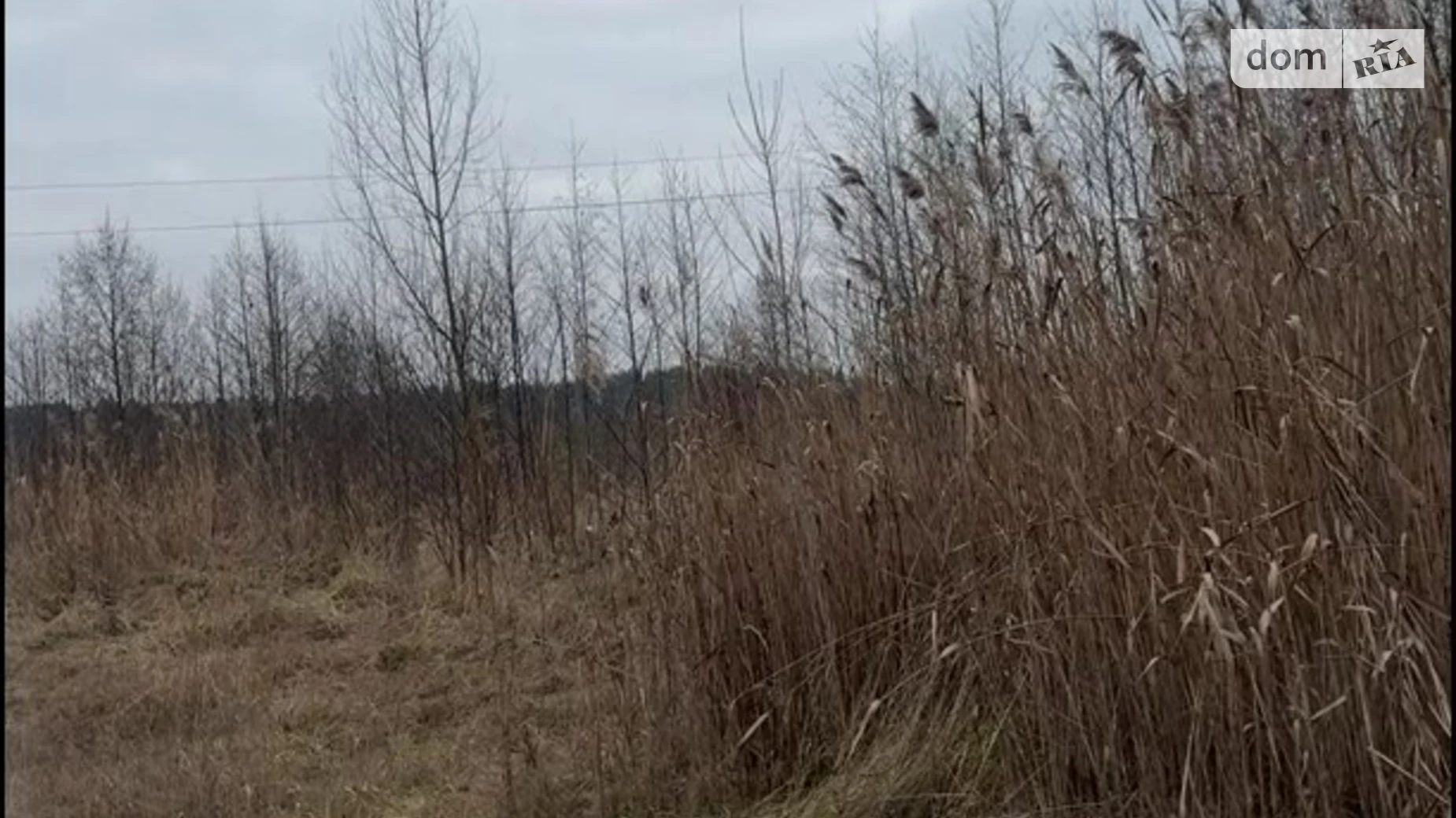 Продается земельный участок 300 соток в Львовской области, цена: 750000 $ - фото 5