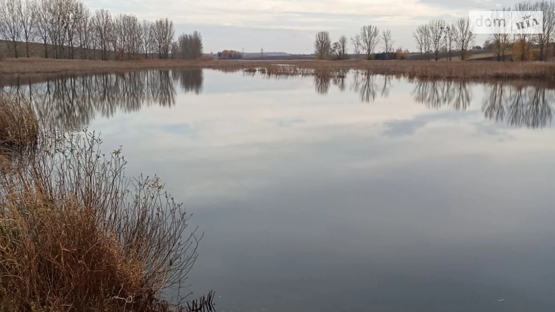 Сдается в аренду земельный участок 41.348 соток в области, цена: 117115 грн - фото 2