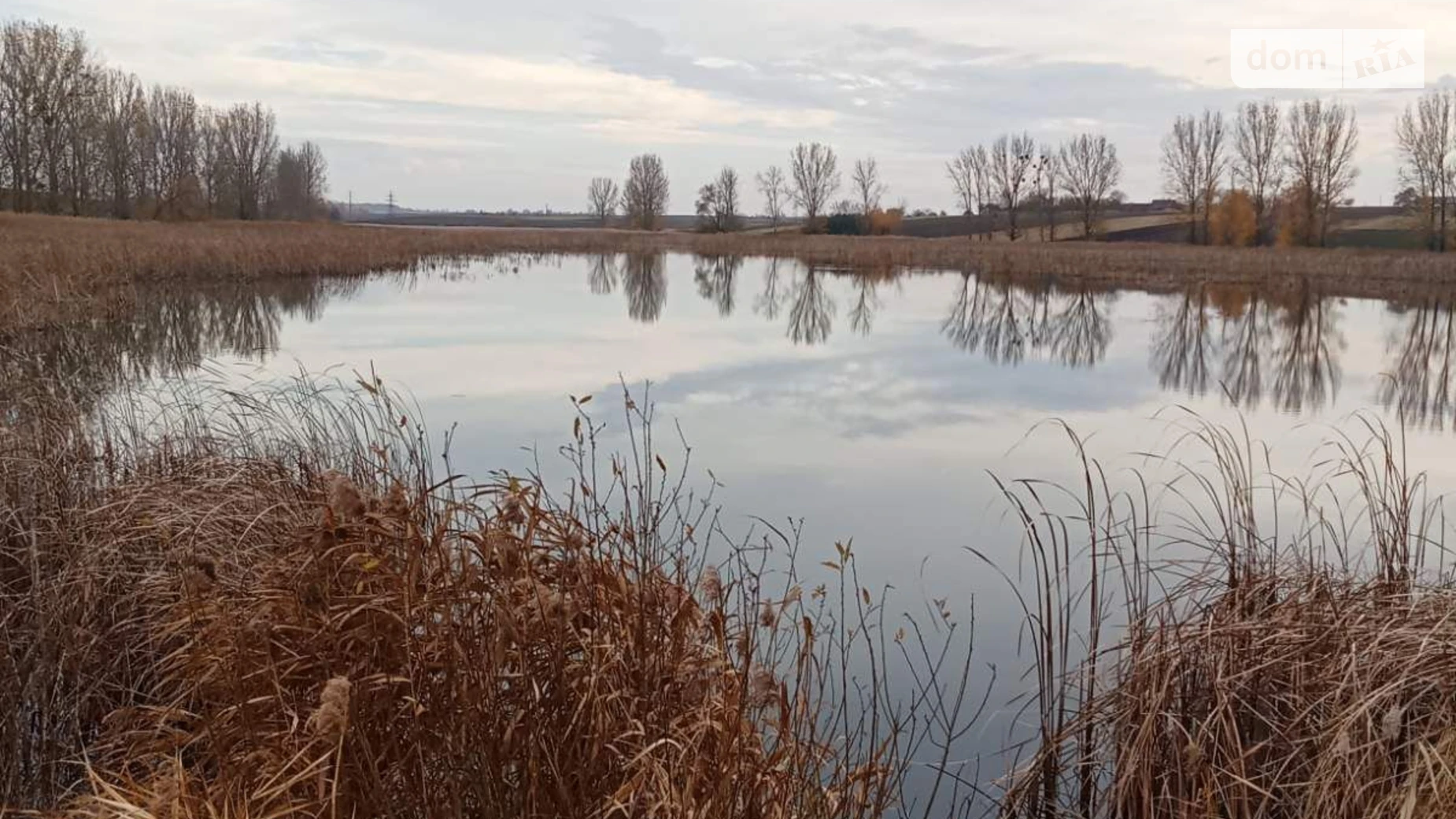 Сдается в аренду земельный участок 41.348 соток в области, цена: 117115 грн - фото 3