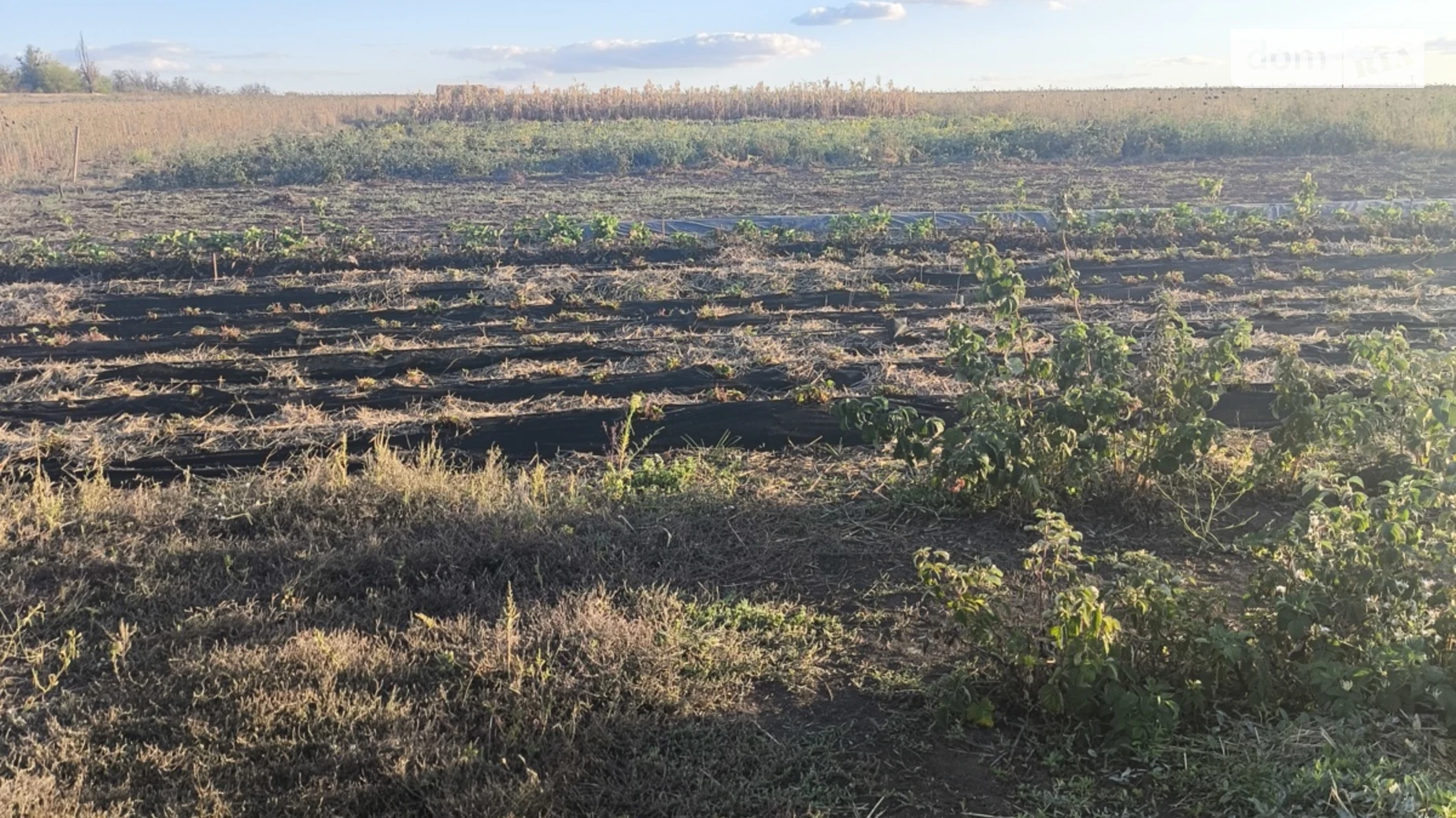 Продается одноэтажный дом 62 кв. м с мансардой, цена: 17000 $ - фото 2