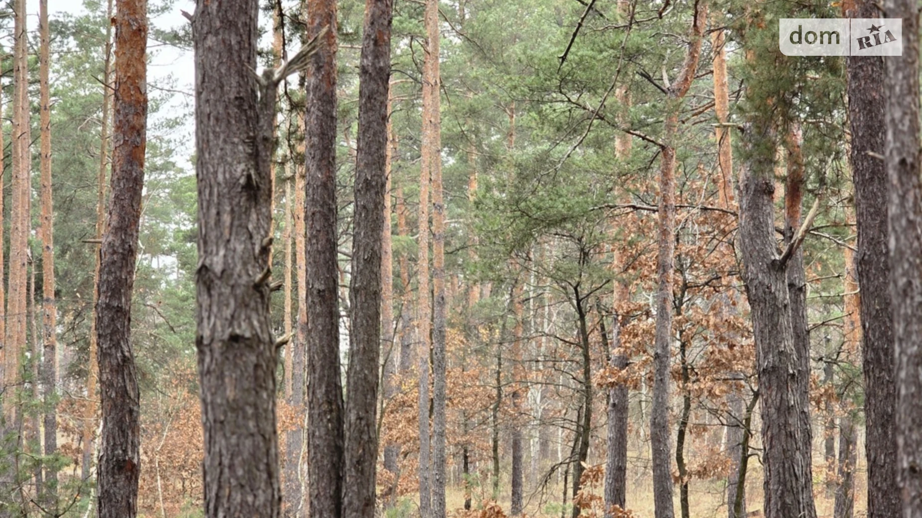 Продается земельный участок 10 соток в Киевской области, цена: 89450 $ - фото 2