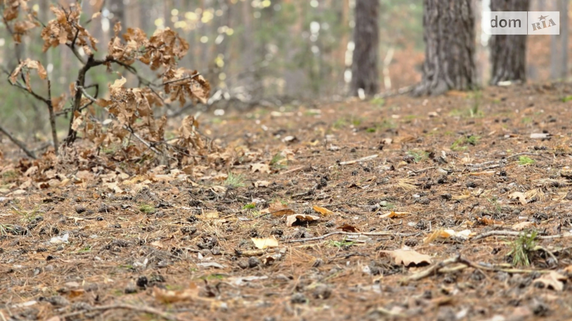 Продается земельный участок 10 соток в Киевской области, цена: 89450 $ - фото 3