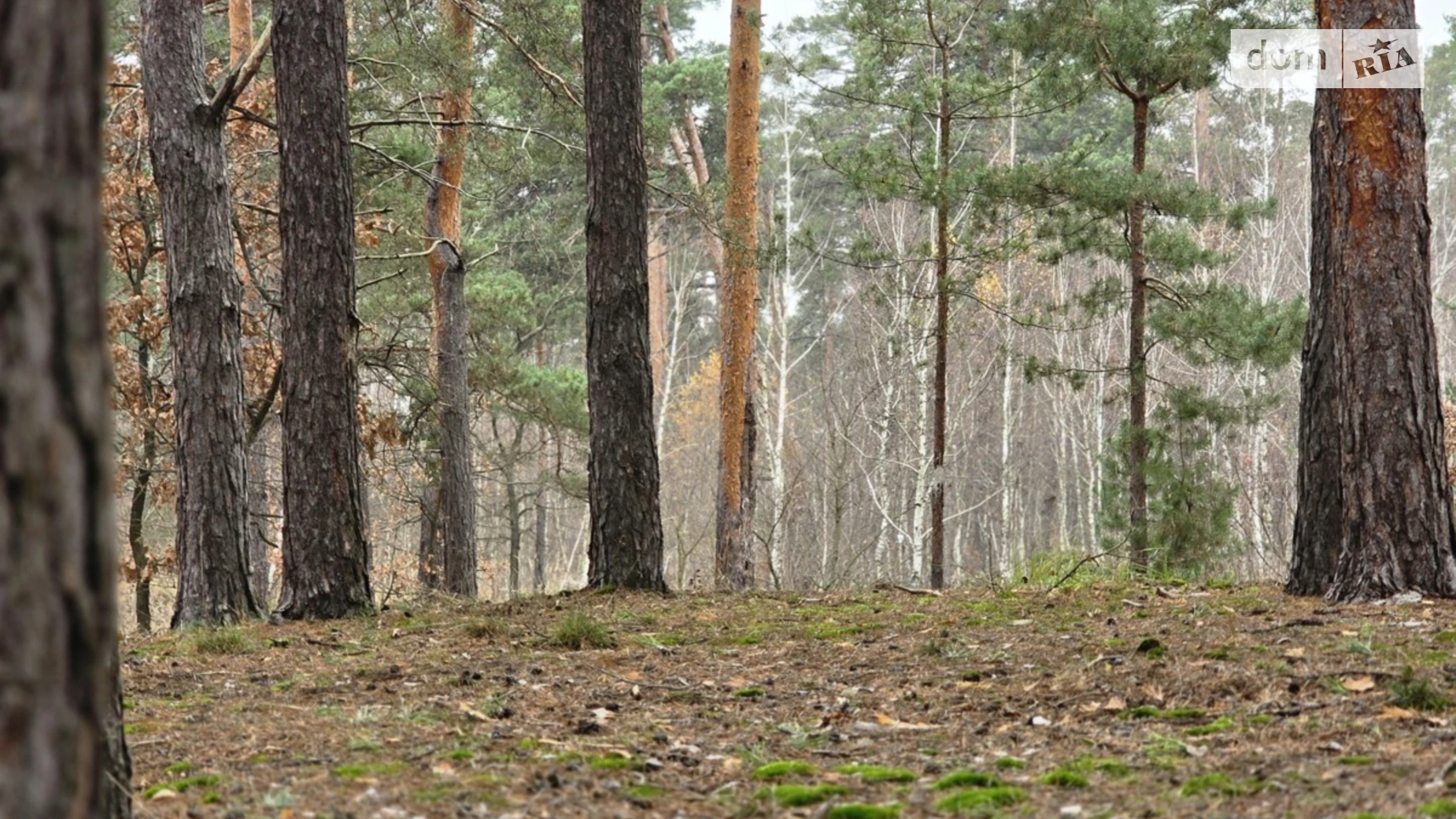 Продается земельный участок 10 соток в Киевской области, цена: 89450 $ - фото 5