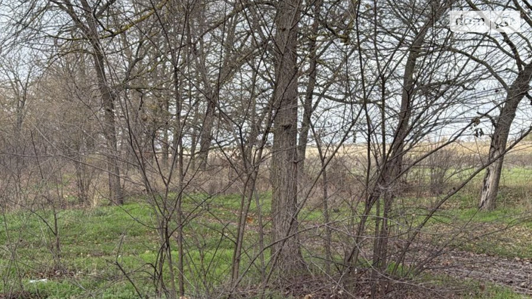 Продается земельный участок 1.6035 соток в Одесской области, цена: 9382967 грн - фото 3