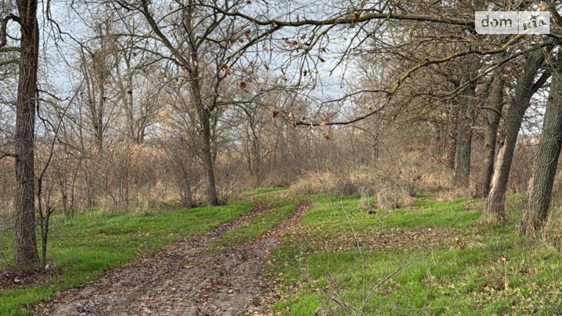 Продается земельный участок 1.6035 соток в Одесской области, цена: 9382967 грн - фото 4