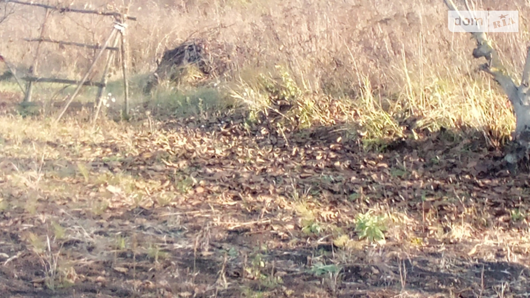 Продается земельный участок 10 соток в Харьковской области, цена: 8000 $ - фото 3