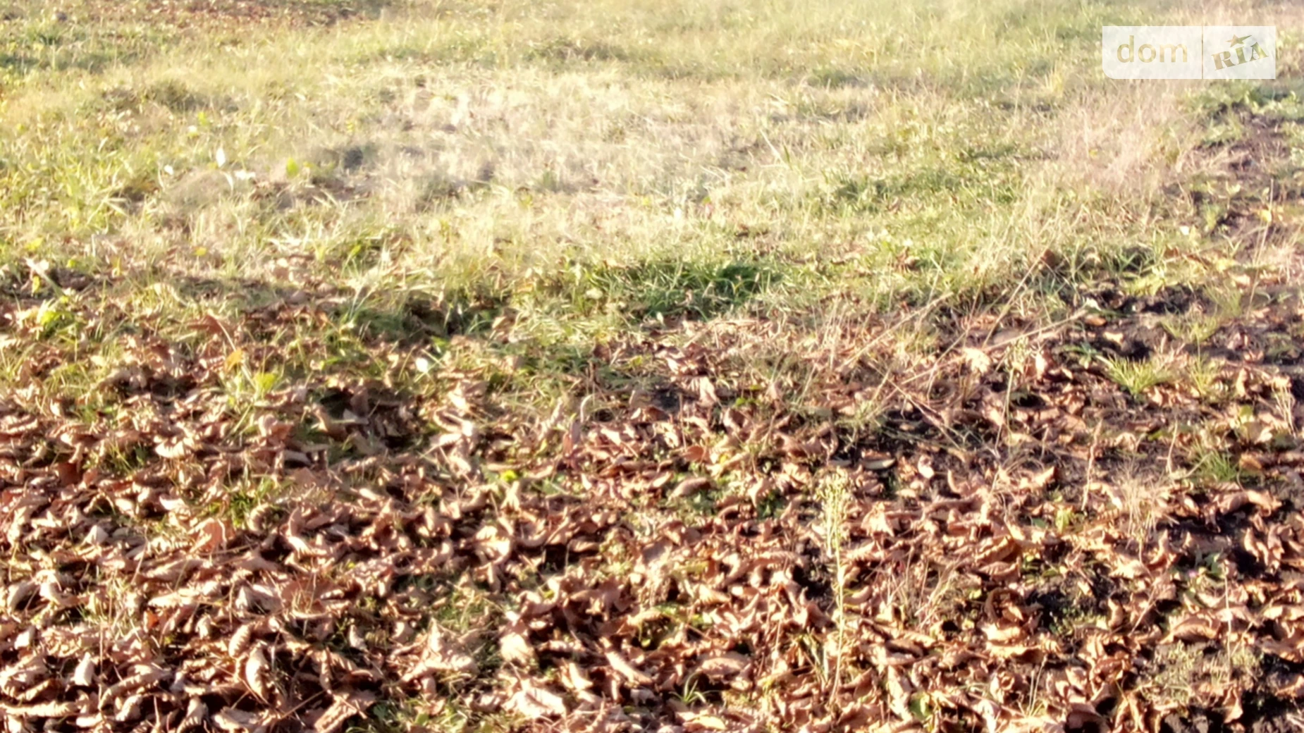 Продается земельный участок 10 соток в Харьковской области, цена: 8000 $ - фото 4