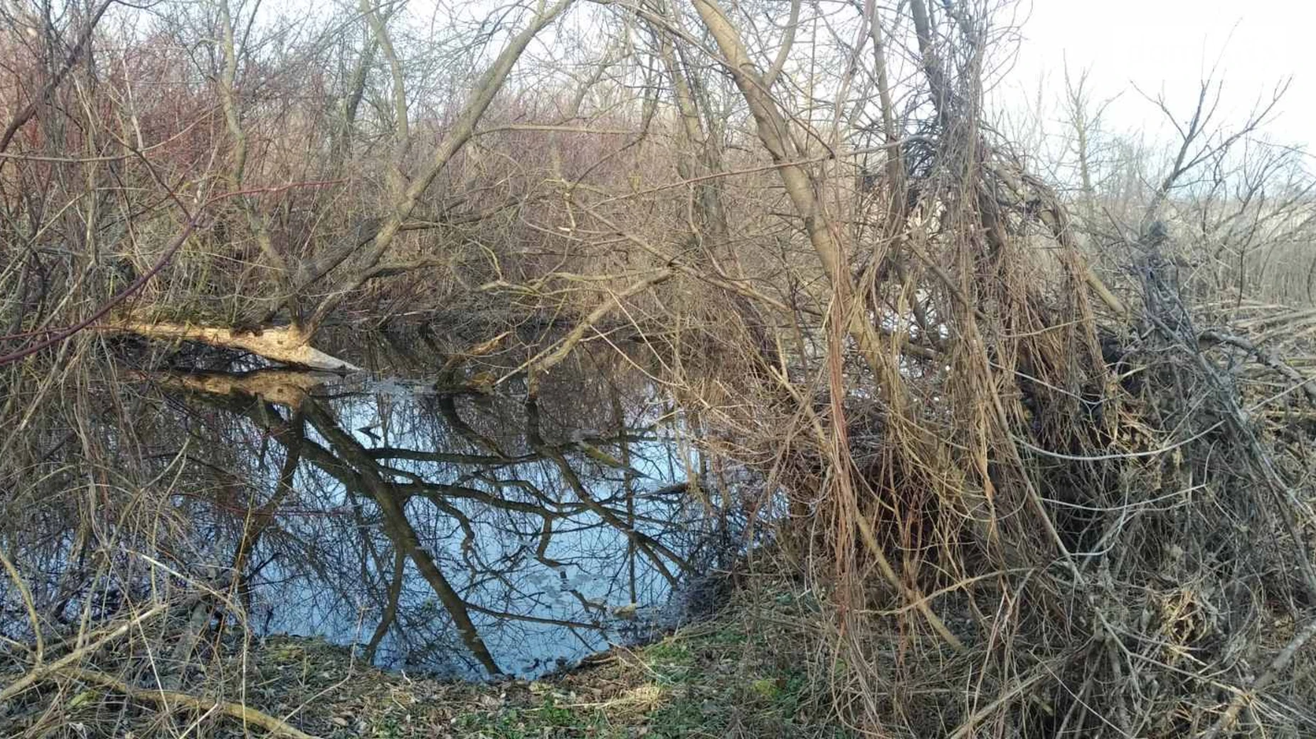 Продається земельна ділянка 25 соток у Вінницькій області, цена: 19000 $ - фото 2