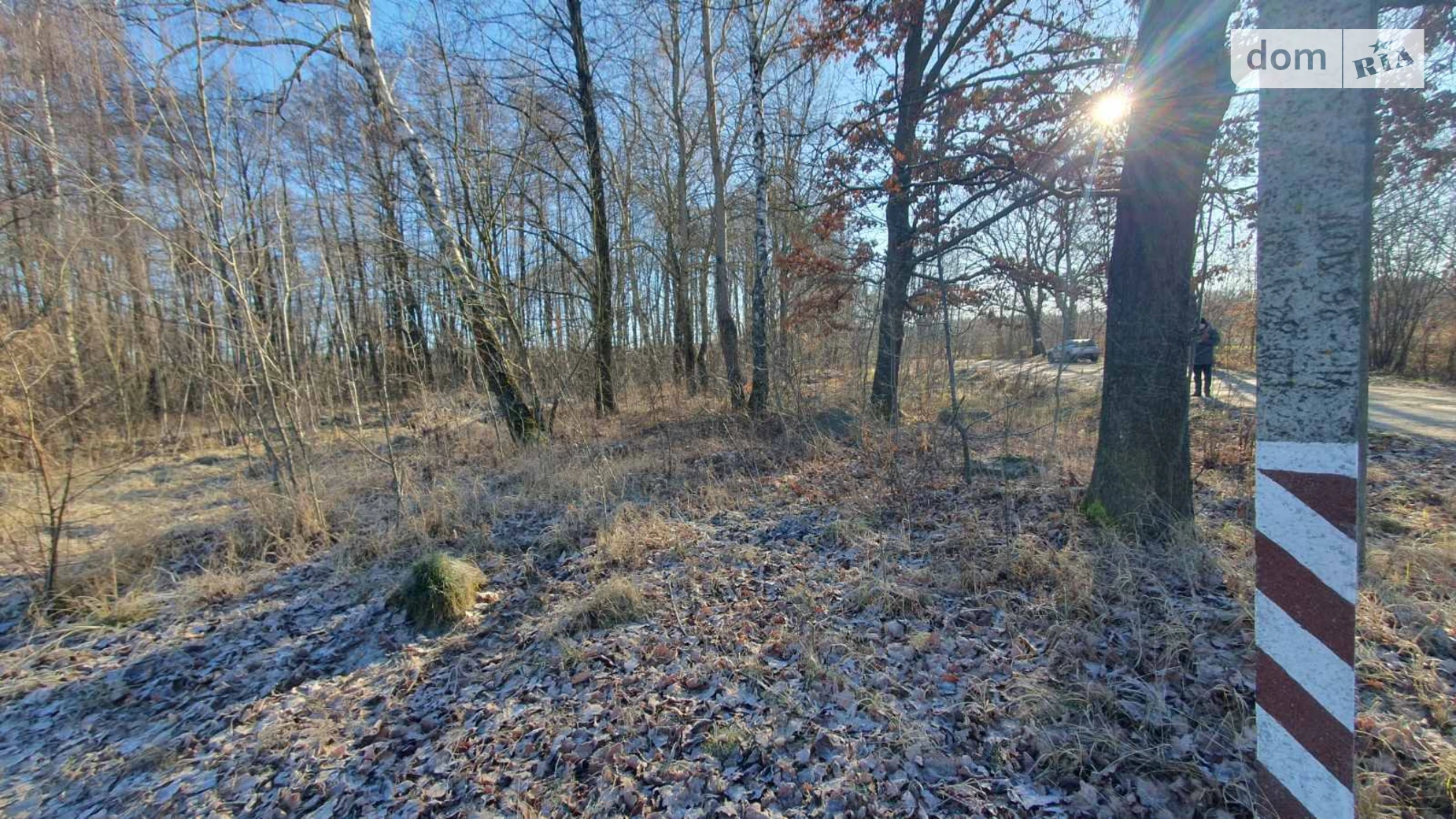 мас. Рибаче Петрик, цена: 50000 $ - фото 2