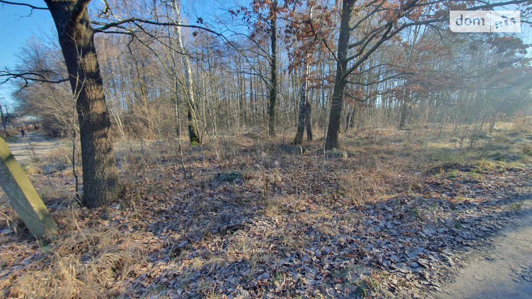 мас. Рибаче Петрик, цена: 50000 $ - фото 4