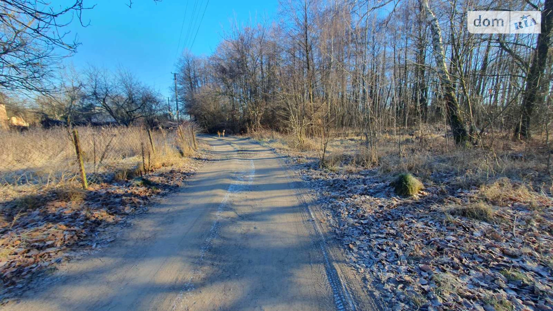 мас. Рибаче Петрик, цена: 50000 $ - фото 3