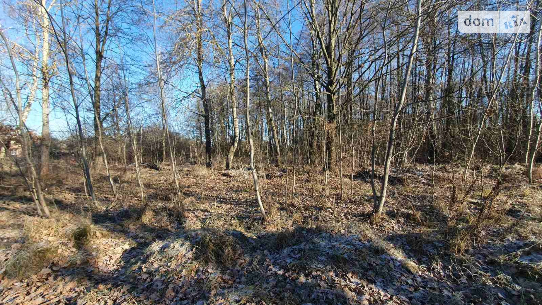 мас. Рибаче Петрик, цена: 50000 $ - фото 5