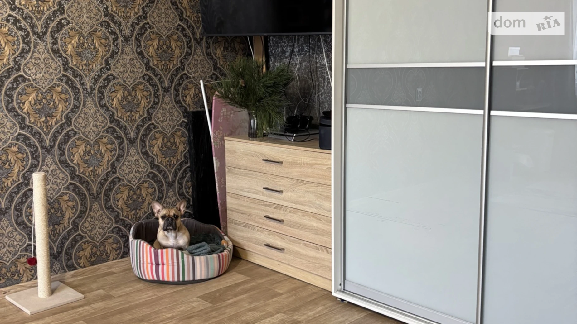 вул. Батумська Косіора Дніпро - фото 3