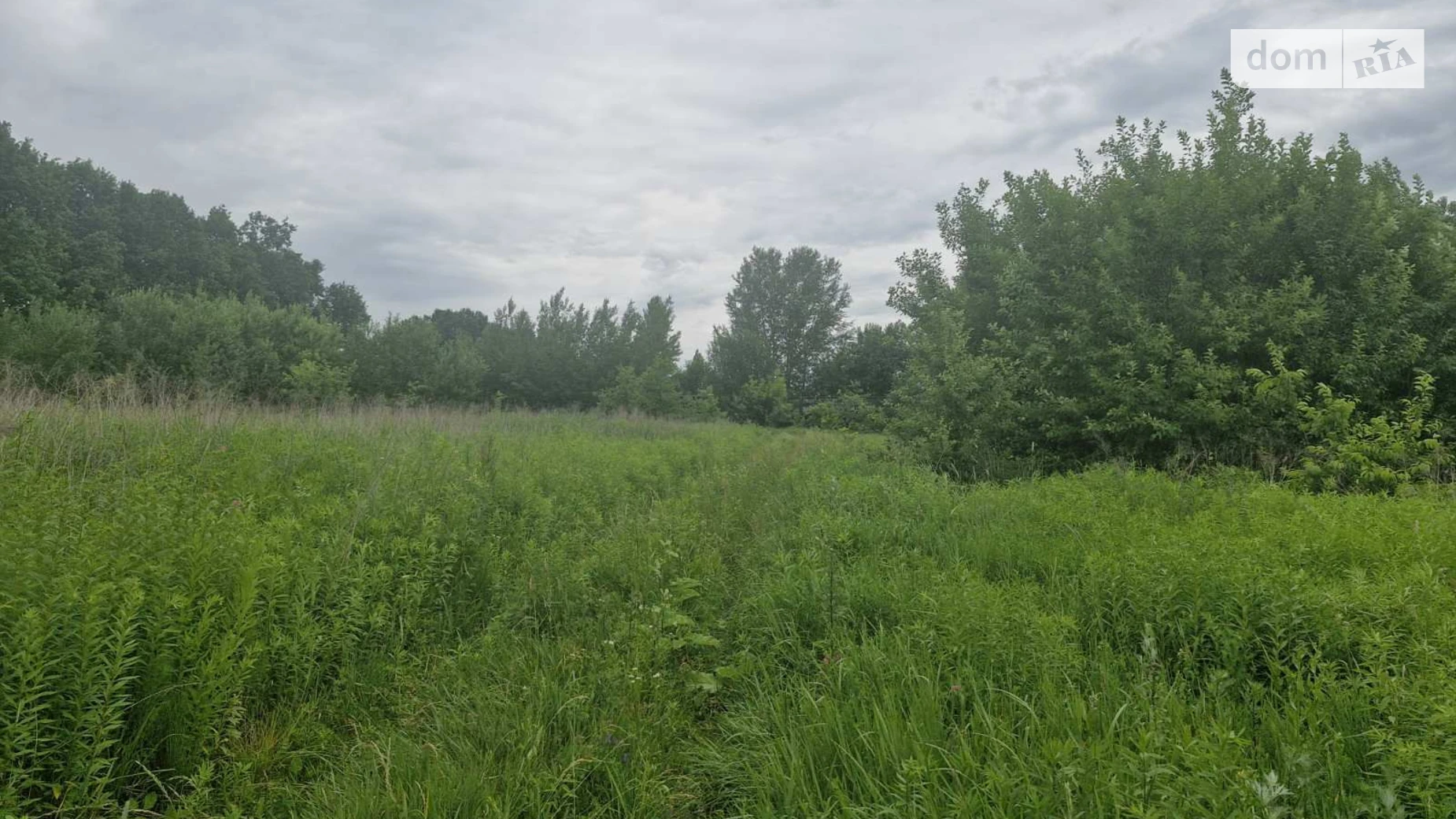 Продается земельный участок 10 соток в Житомирской области, цена: 10500 $ - фото 2