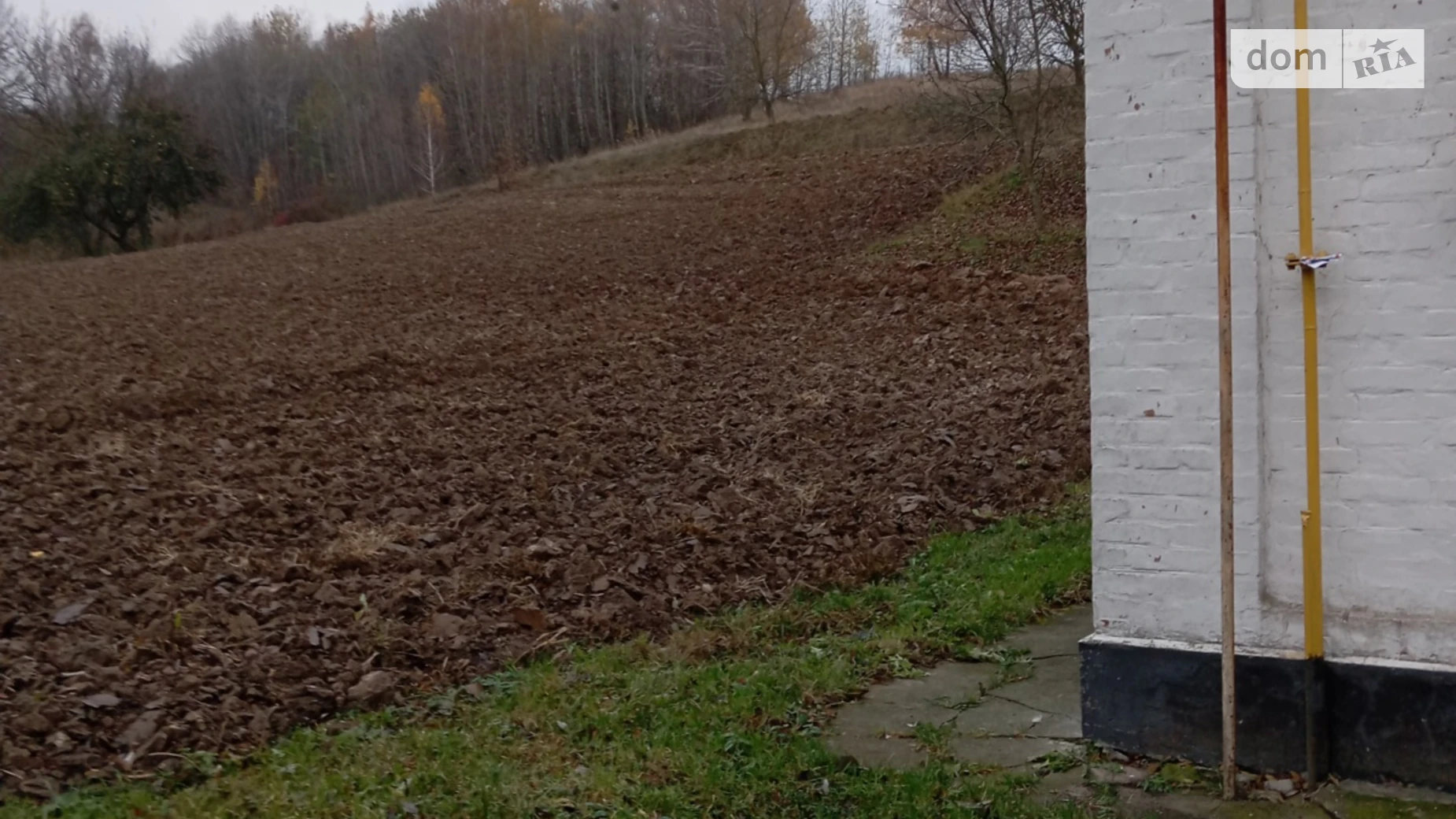 вулиця Перемоги Лукьяновка (Тараща), цена: 20000 $ - фото 4