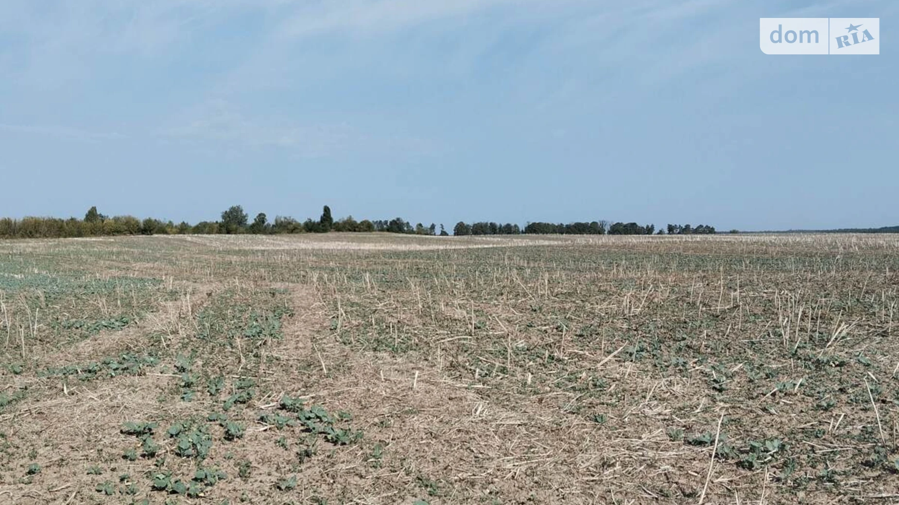 Продается земельный участок 325 соток в Винницкой области, цена: 68250 $ - фото 2