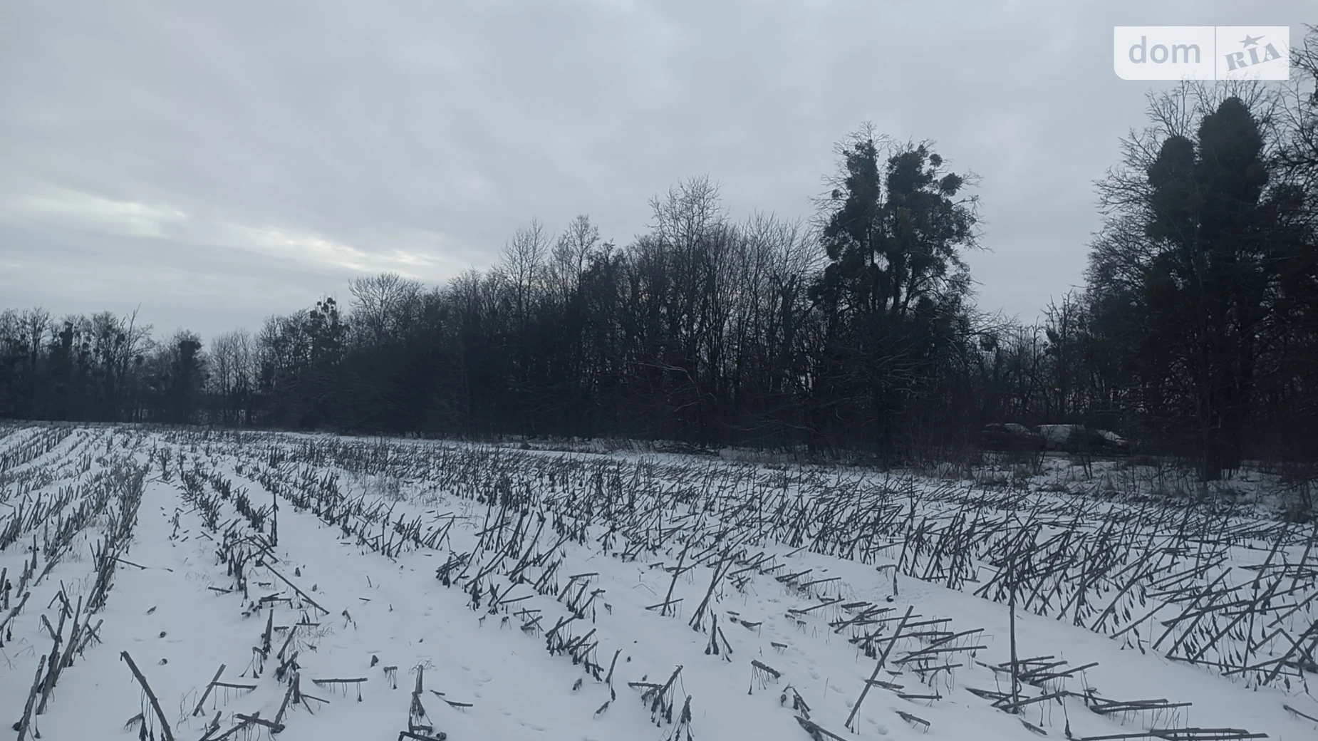 Дубовець, цена: 150000 $ - фото 2
