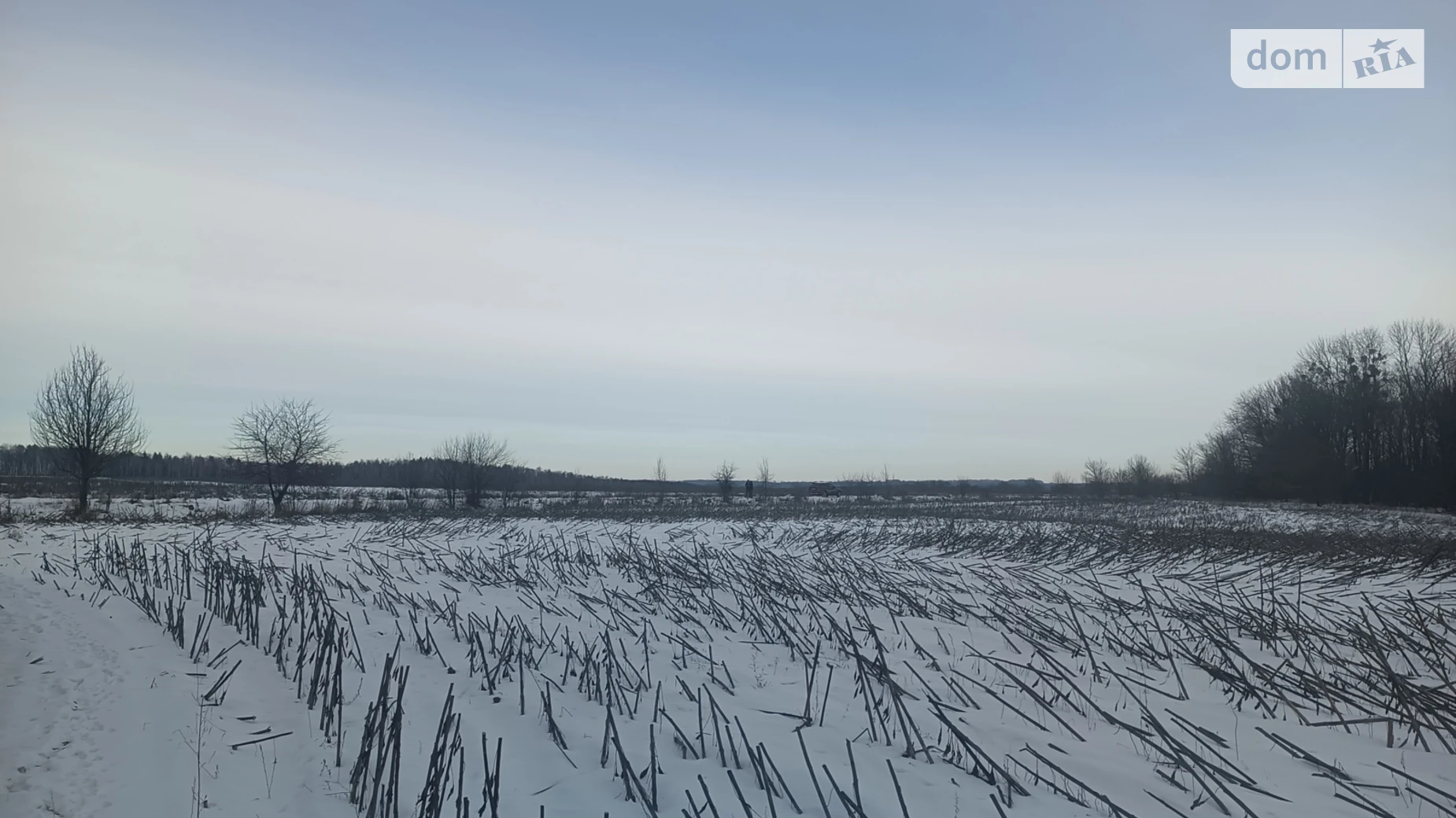 Дубовець, цена: 150000 $ - фото 4