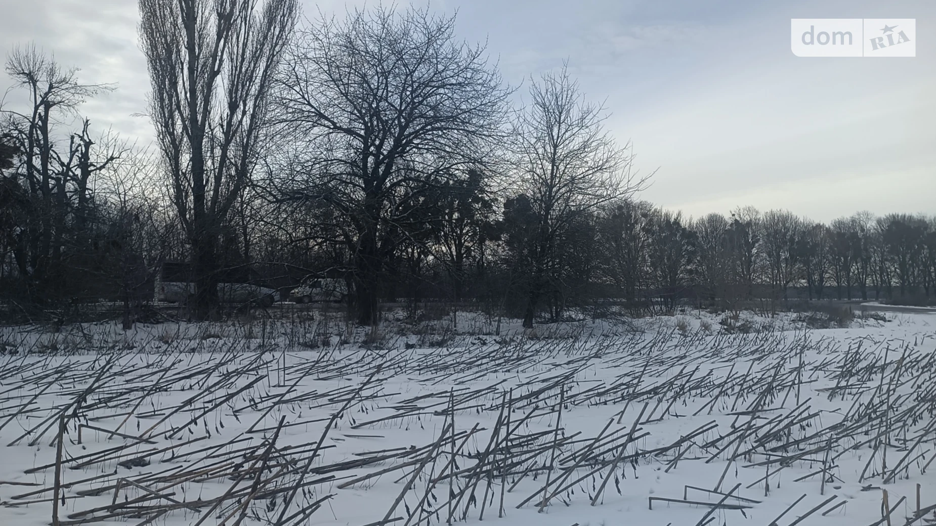 Дубовець, цена: 150000 $ - фото 3