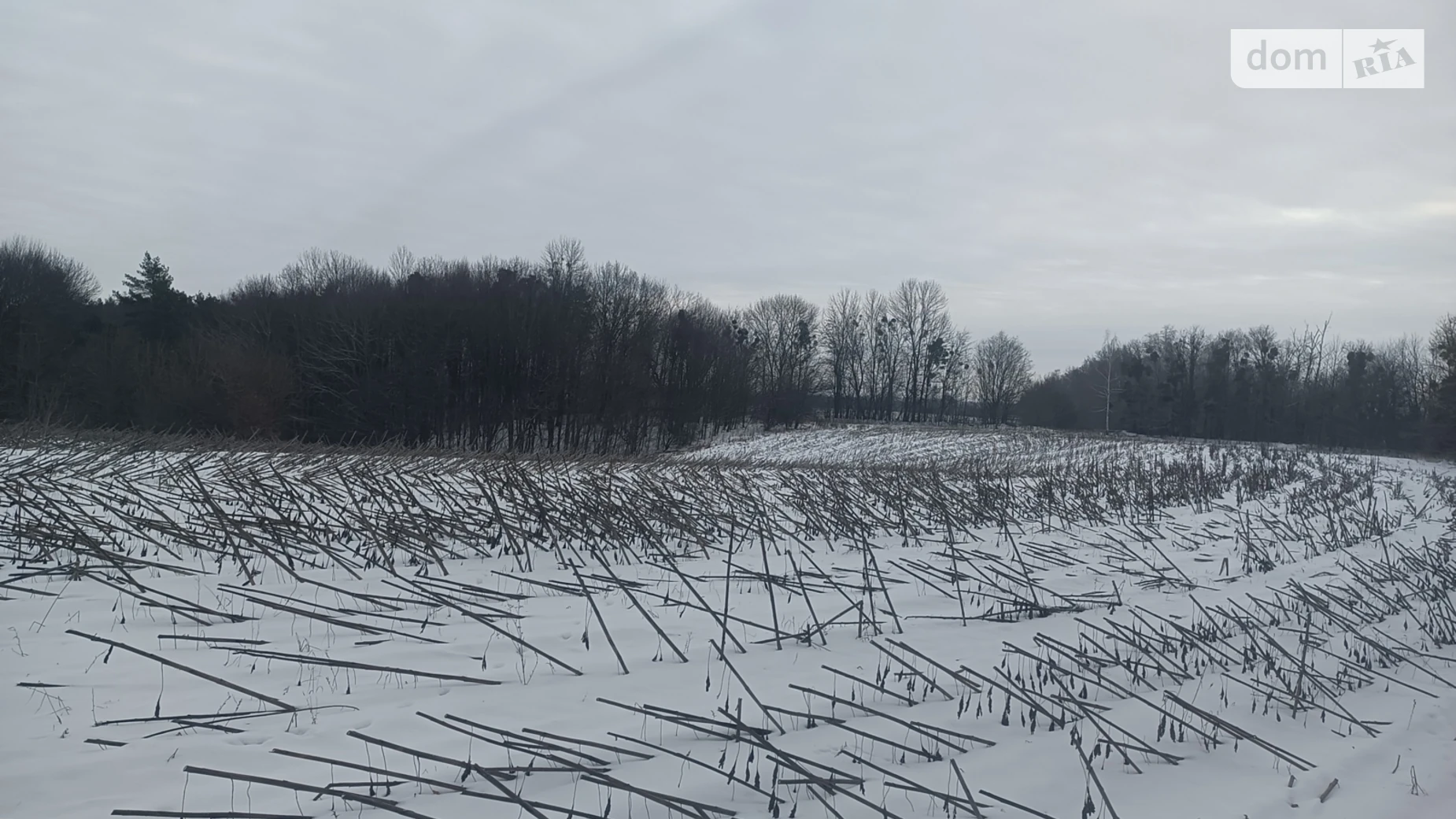 Дубовець, цена: 150000 $ - фото 5