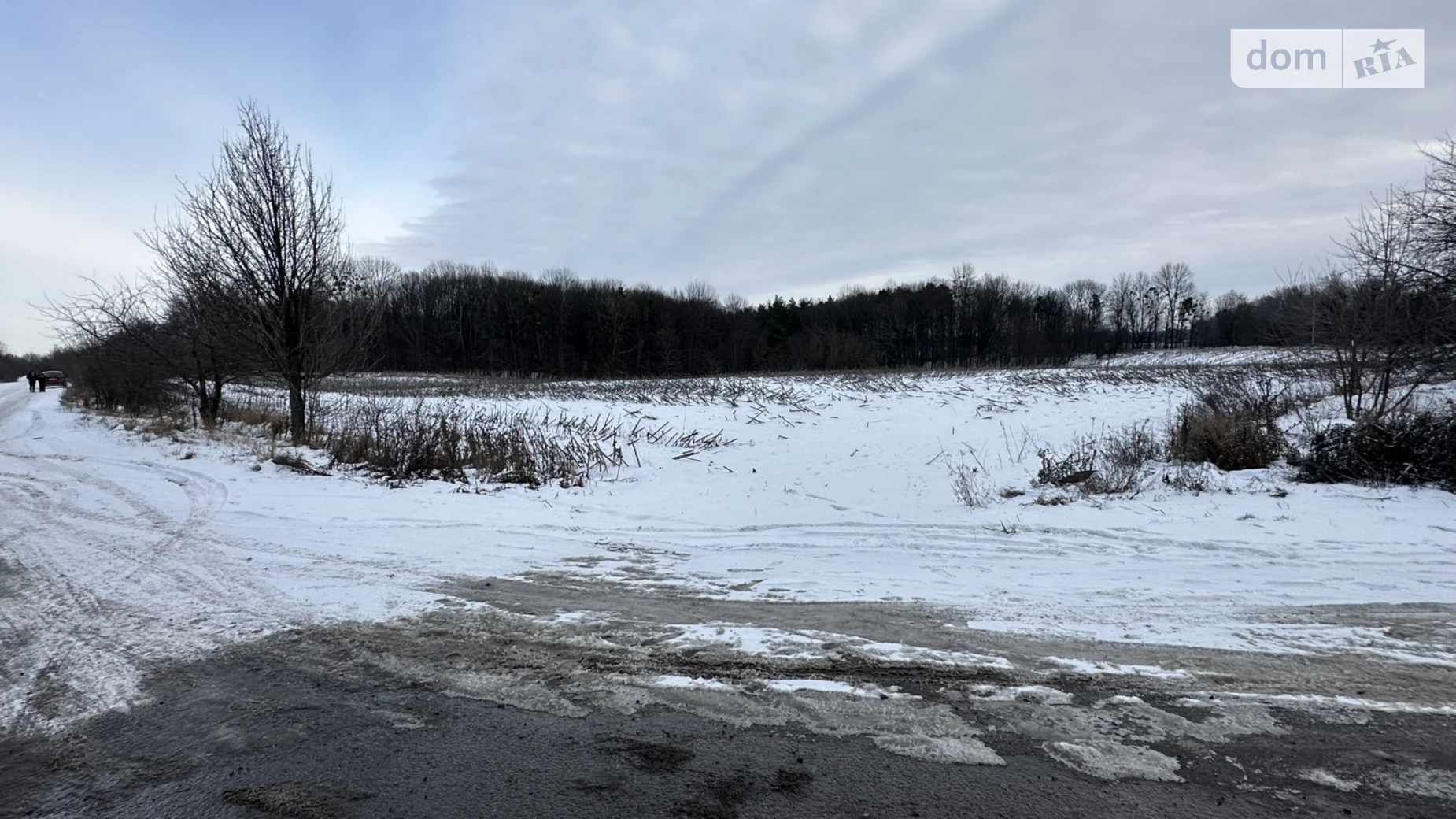 Дубовець, цена: 150000 $ - фото 4
